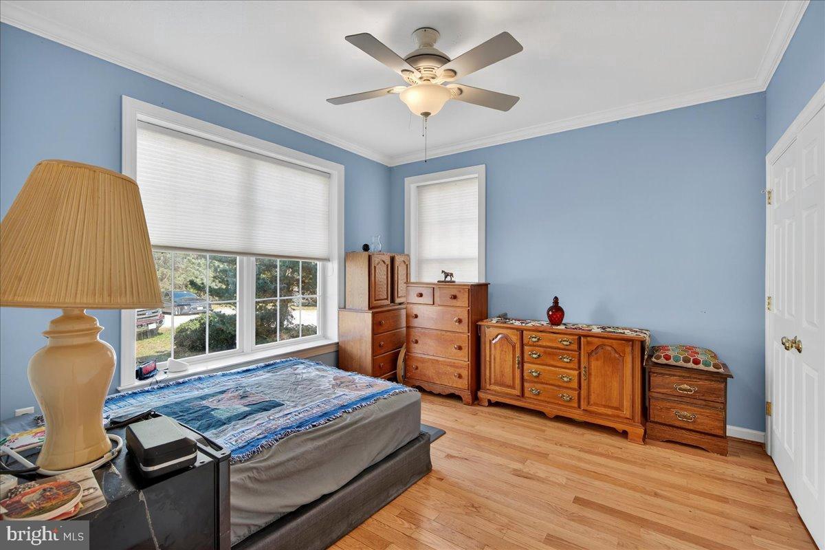 239 MT CARMEL RD, LURAY, Virginia 22835, 5 Bedrooms Bedrooms, ,3 BathroomsBathrooms,Farm,For sale,239 MT CARMEL RD,VAPA2005526 MLS # VAPA2005526 239 MT CARMEL RD, LURAY, Virginia 22835, 5 Bedrooms Bedrooms, ,3 BathroomsBathrooms,Farm,For sale,239 MT CARMEL RD,VAPA2005526 MLS # VAPA2005526