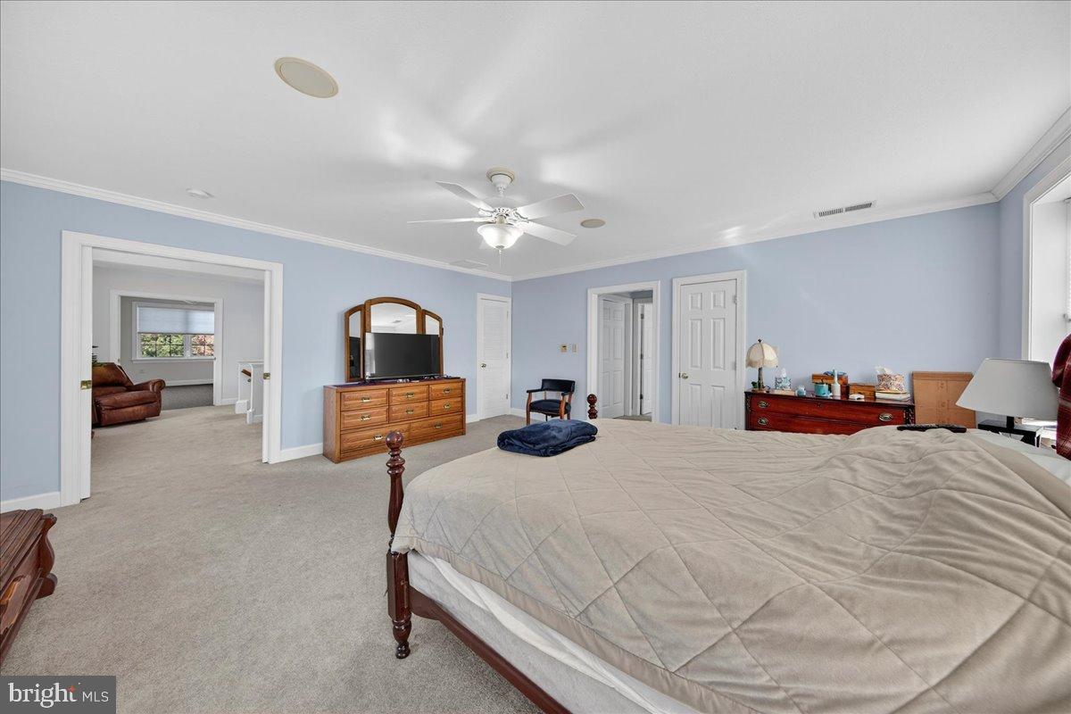 239 MT CARMEL RD, LURAY, Virginia 22835, 5 Bedrooms Bedrooms, ,3 BathroomsBathrooms,Farm,For sale,239 MT CARMEL RD,VAPA2005526 MLS # VAPA2005526 239 MT CARMEL RD, LURAY, Virginia 22835, 5 Bedrooms Bedrooms, ,3 BathroomsBathrooms,Farm,For sale,239 MT CARMEL RD,VAPA2005526 MLS # VAPA2005526