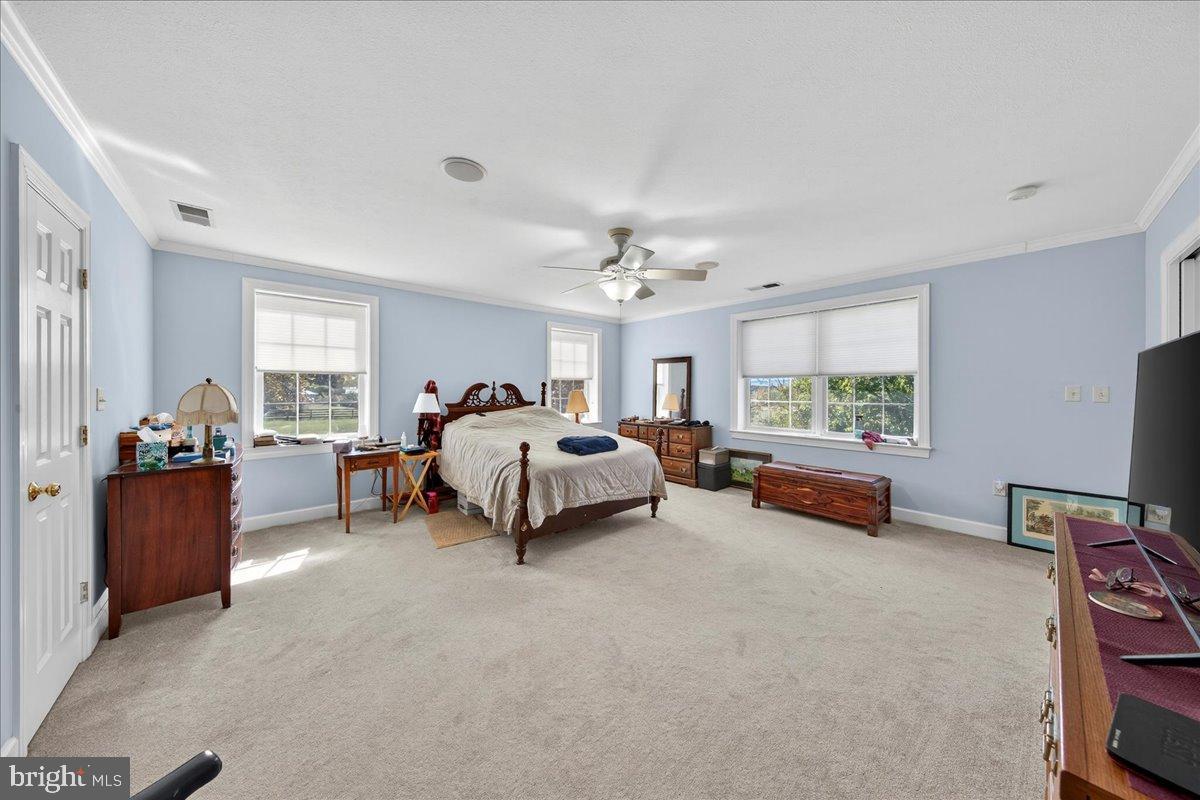 239 MT CARMEL RD, LURAY, Virginia 22835, 5 Bedrooms Bedrooms, ,3 BathroomsBathrooms,Farm,For sale,239 MT CARMEL RD,VAPA2005526 MLS # VAPA2005526 239 MT CARMEL RD, LURAY, Virginia 22835, 5 Bedrooms Bedrooms, ,3 BathroomsBathrooms,Farm,For sale,239 MT CARMEL RD,VAPA2005526 MLS # VAPA2005526