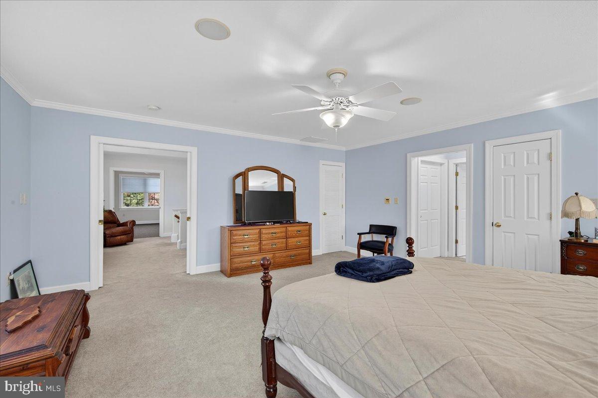 239 MT CARMEL RD, LURAY, Virginia 22835, 5 Bedrooms Bedrooms, ,3 BathroomsBathrooms,Farm,For sale,239 MT CARMEL RD,VAPA2005526 MLS # VAPA2005526 239 MT CARMEL RD, LURAY, Virginia 22835, 5 Bedrooms Bedrooms, ,3 BathroomsBathrooms,Farm,For sale,239 MT CARMEL RD,VAPA2005526 MLS # VAPA2005526