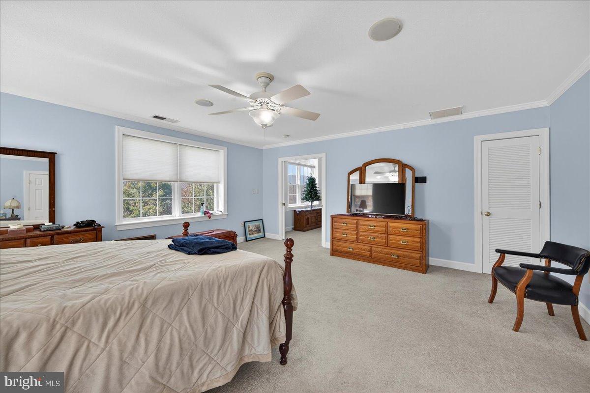 239 MT CARMEL RD, LURAY, Virginia 22835, 5 Bedrooms Bedrooms, ,3 BathroomsBathrooms,Farm,For sale,239 MT CARMEL RD,VAPA2005526 MLS # VAPA2005526 239 MT CARMEL RD, LURAY, Virginia 22835, 5 Bedrooms Bedrooms, ,3 BathroomsBathrooms,Farm,For sale,239 MT CARMEL RD,VAPA2005526 MLS # VAPA2005526