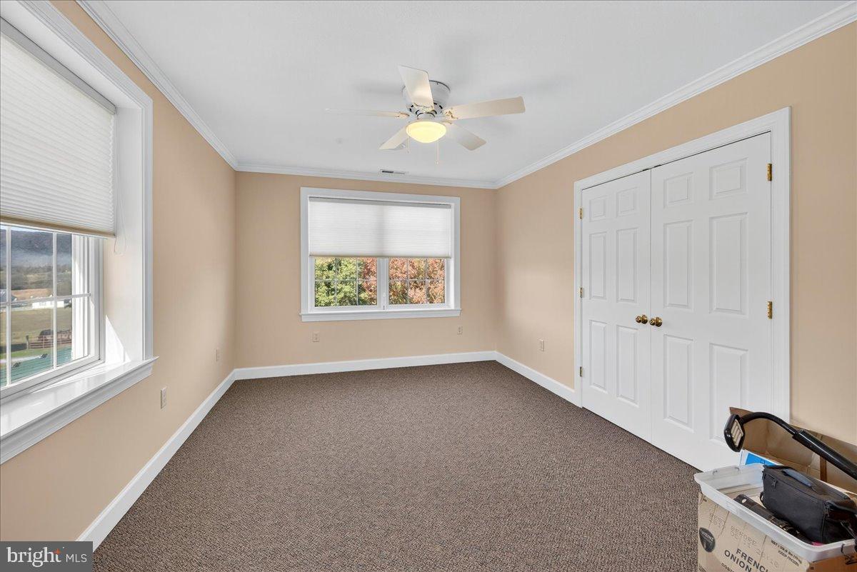 239 MT CARMEL RD, LURAY, Virginia 22835, 5 Bedrooms Bedrooms, ,3 BathroomsBathrooms,Farm,For sale,239 MT CARMEL RD,VAPA2005526 MLS # VAPA2005526 239 MT CARMEL RD, LURAY, Virginia 22835, 5 Bedrooms Bedrooms, ,3 BathroomsBathrooms,Farm,For sale,239 MT CARMEL RD,VAPA2005526 MLS # VAPA2005526