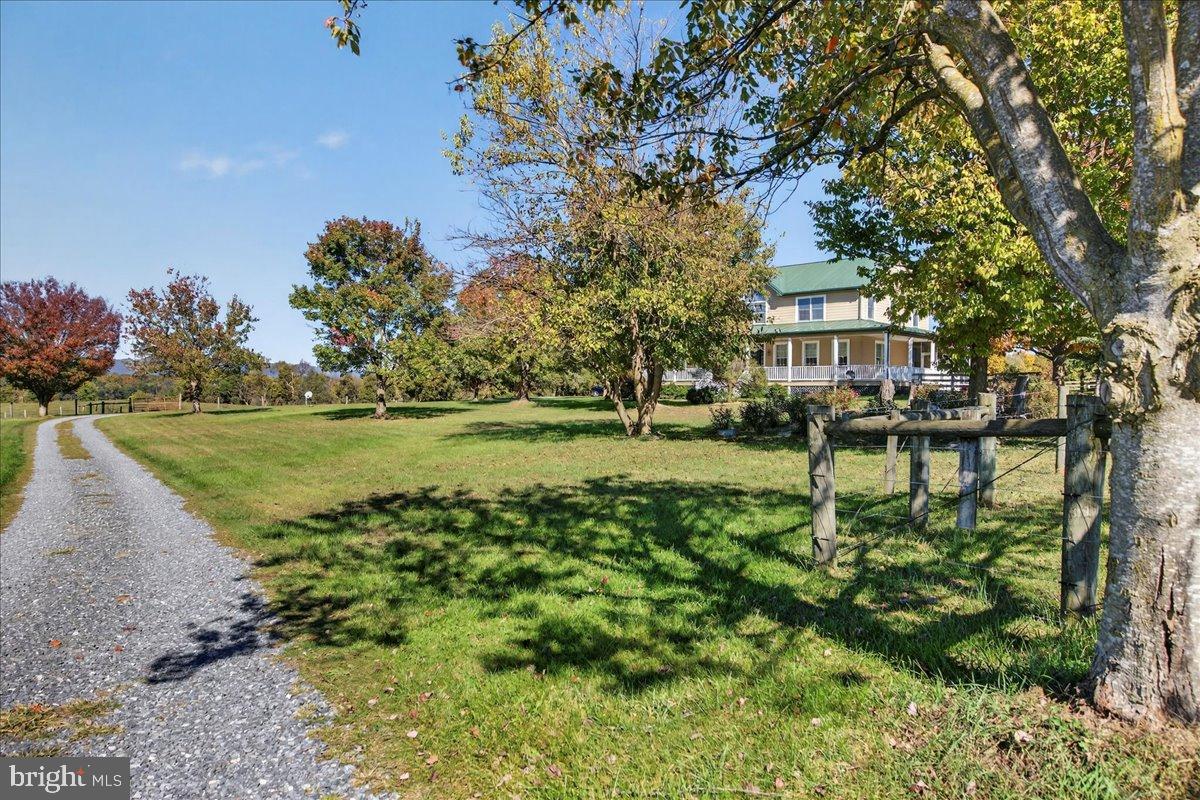 239 MT CARMEL RD, LURAY, Virginia 22835, 5 Bedrooms Bedrooms, ,3 BathroomsBathrooms,Farm,For sale,239 MT CARMEL RD,VAPA2005526 MLS # VAPA2005526 239 MT CARMEL RD, LURAY, Virginia 22835, 5 Bedrooms Bedrooms, ,3 BathroomsBathrooms,Farm,For sale,239 MT CARMEL RD,VAPA2005526 MLS # VAPA2005526