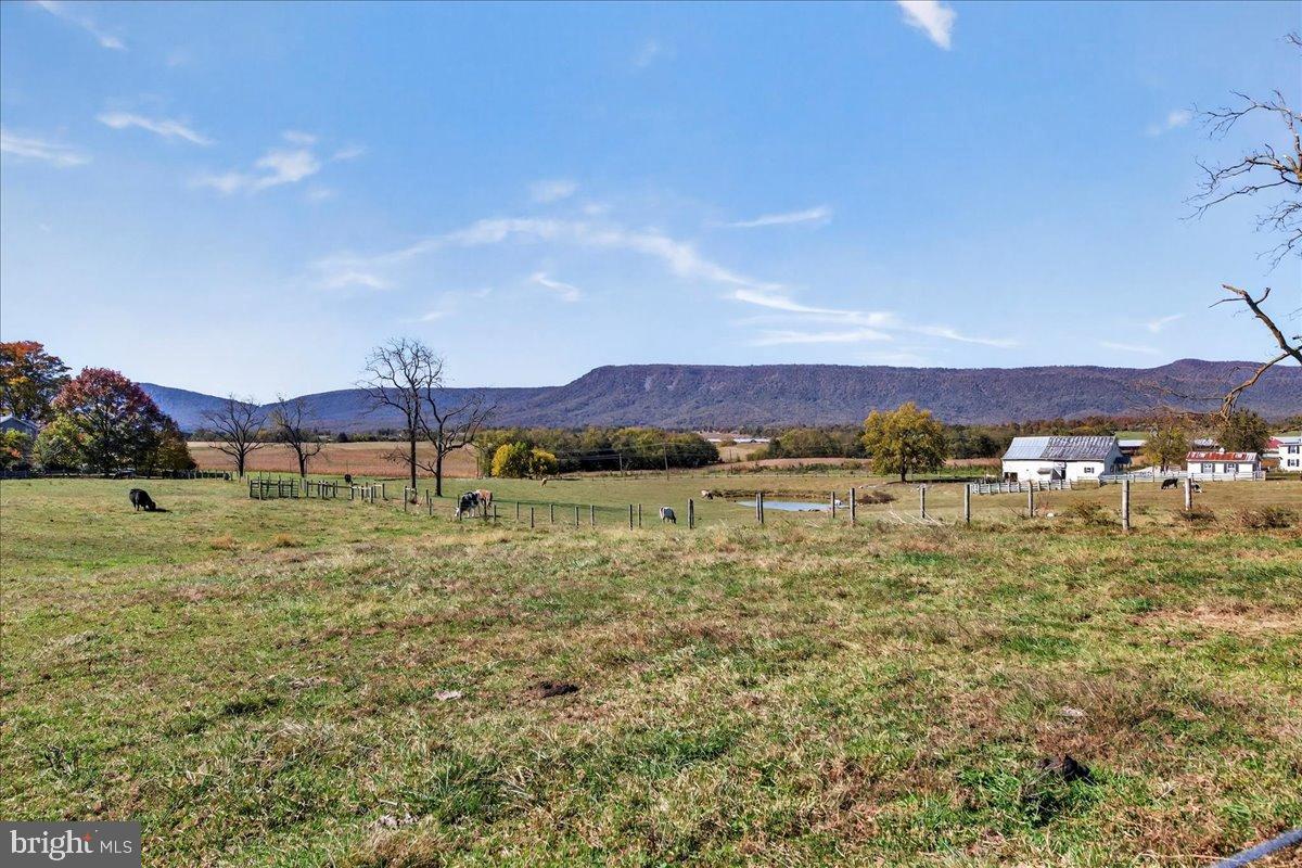 239 MT CARMEL RD, LURAY, Virginia 22835, 5 Bedrooms Bedrooms, ,3 BathroomsBathrooms,Farm,For sale,239 MT CARMEL RD,VAPA2005526 MLS # VAPA2005526 239 MT CARMEL RD, LURAY, Virginia 22835, 5 Bedrooms Bedrooms, ,3 BathroomsBathrooms,Farm,For sale,239 MT CARMEL RD,VAPA2005526 MLS # VAPA2005526