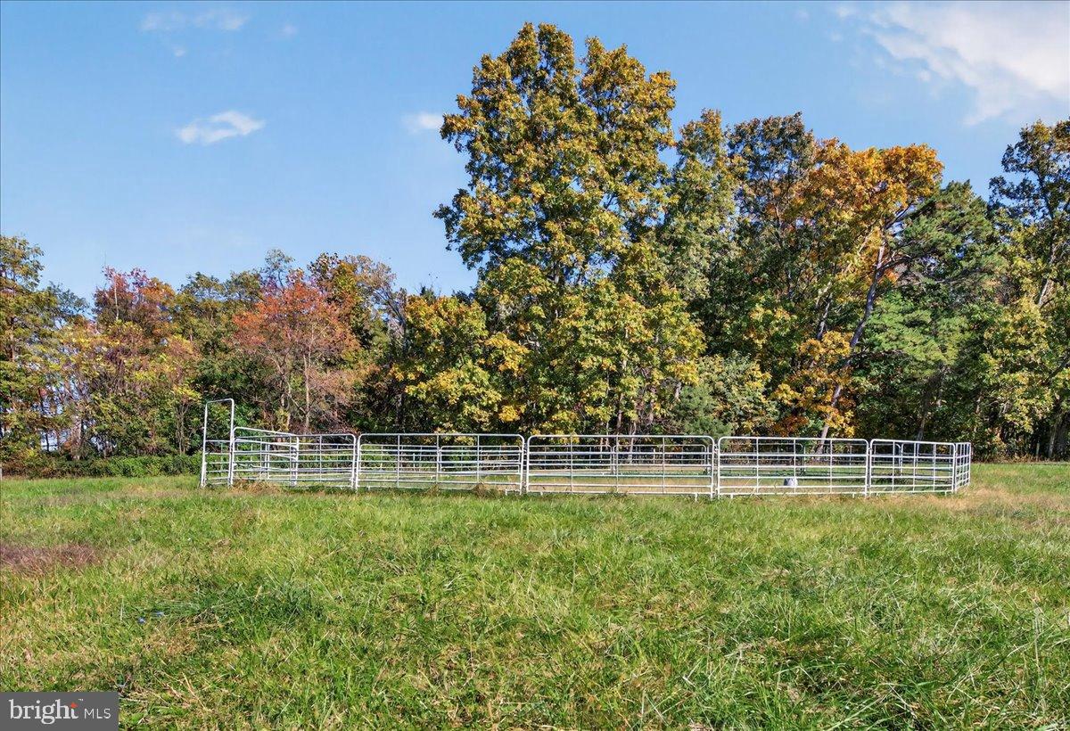 239 MT CARMEL RD, LURAY, Virginia 22835, 5 Bedrooms Bedrooms, ,3 BathroomsBathrooms,Farm,For sale,239 MT CARMEL RD,VAPA2005526 MLS # VAPA2005526 239 MT CARMEL RD, LURAY, Virginia 22835, 5 Bedrooms Bedrooms, ,3 BathroomsBathrooms,Farm,For sale,239 MT CARMEL RD,VAPA2005526 MLS # VAPA2005526