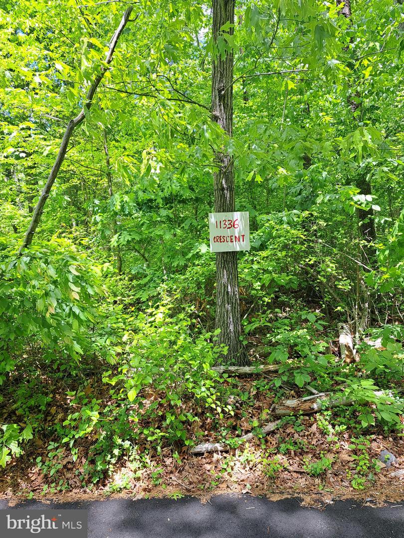 11332 AND 11336 CRESCENT DR, FAIRFAX, Virginia 22030, ,Land,For sale,11332 AND 11336 CRESCENT DR,VAFX2229894 MLS # VAFX2229894 11332 AND 11336 CRESCENT DR, FAIRFAX, Virginia 22030, ,Land,For sale,11332 AND 11336 CRESCENT DR,VAFX2229894 MLS # VAFX2229894