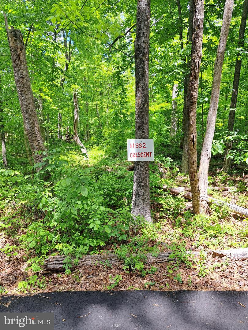 11332 AND 11336 CRESCENT DR, FAIRFAX, Virginia 22030, ,Land,For sale,11332 AND 11336 CRESCENT DR,VAFX2229894 MLS # VAFX2229894 11332 AND 11336 CRESCENT DR, FAIRFAX, Virginia 22030, ,Land,For sale,11332 AND 11336 CRESCENT DR,VAFX2229894 MLS # VAFX2229894