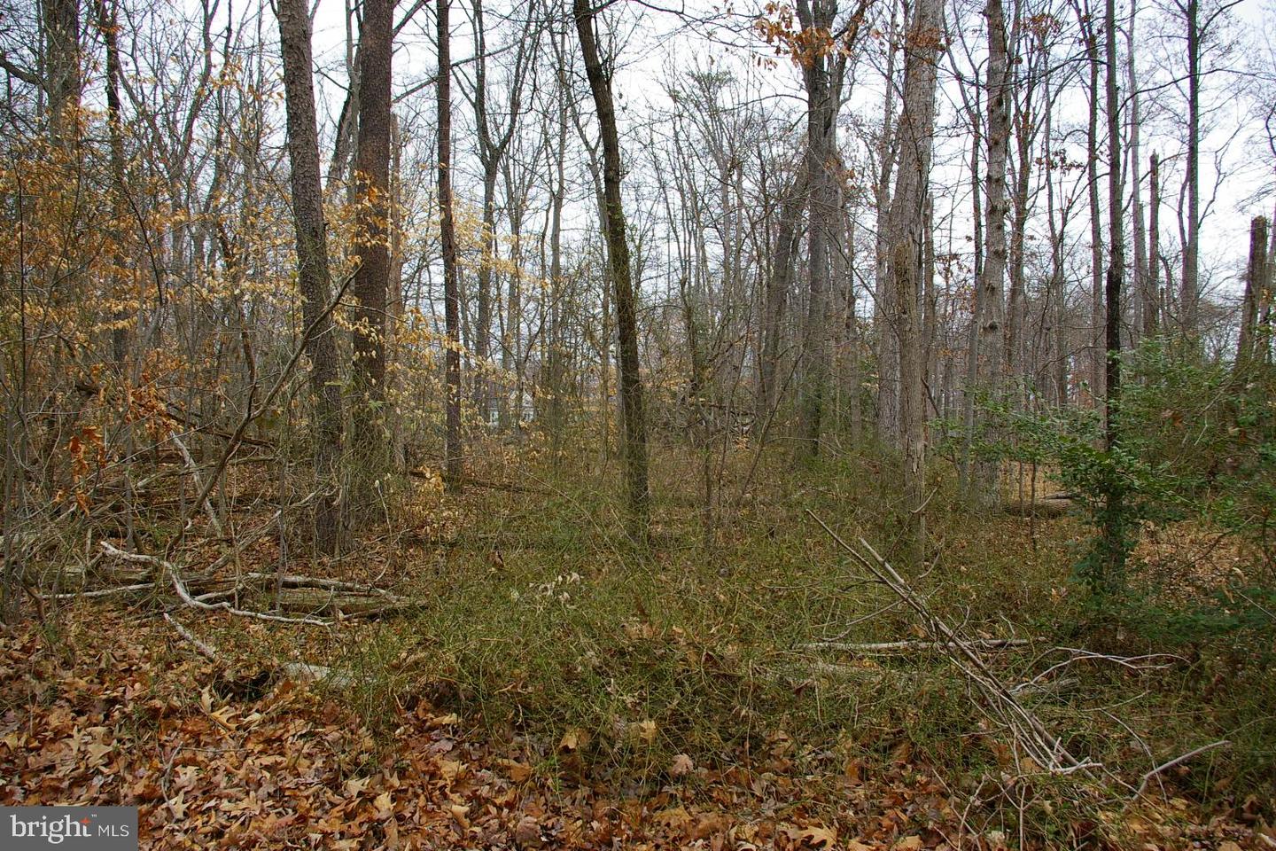 11332 AND 11336 CRESCENT DR, FAIRFAX, Virginia 22030, ,Land,For sale,11332 AND 11336 CRESCENT DR,VAFX2229894 MLS # VAFX2229894 11332 AND 11336 CRESCENT DR, FAIRFAX, Virginia 22030, ,Land,For sale,11332 AND 11336 CRESCENT DR,VAFX2229894 MLS # VAFX2229894