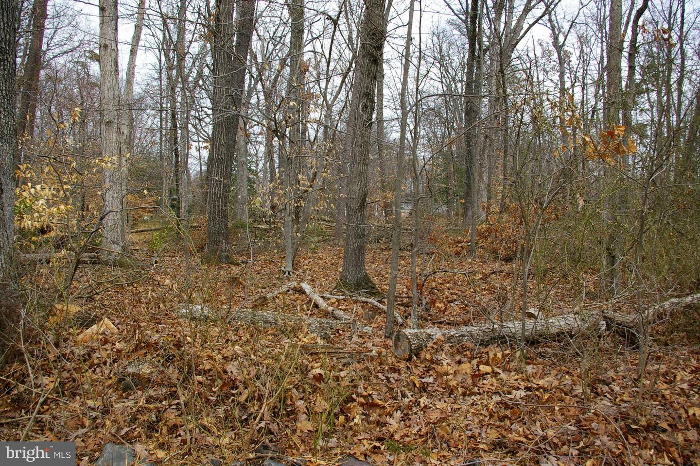 11332 AND 11336 CRESCENT DR, FAIRFAX, Virginia 22030, ,Land,For sale,11332 AND 11336 CRESCENT DR,VAFX2229894 MLS # VAFX2229894 11332 AND 11336 CRESCENT DR, FAIRFAX, Virginia 22030, ,Land,For sale,11332 AND 11336 CRESCENT DR,VAFX2229894 MLS # VAFX2229894