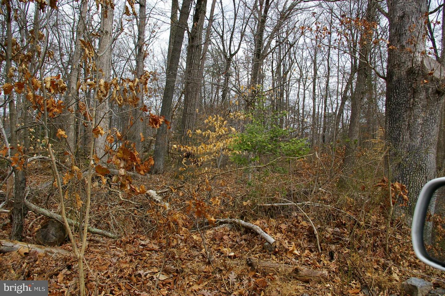 11332 AND 11336 CRESCENT DR, FAIRFAX, Virginia 22030, ,Land,For sale,11332 AND 11336 CRESCENT DR,VAFX2229894 MLS # VAFX2229894 11332 AND 11336 CRESCENT DR, FAIRFAX, Virginia 22030, ,Land,For sale,11332 AND 11336 CRESCENT DR,VAFX2229894 MLS # VAFX2229894