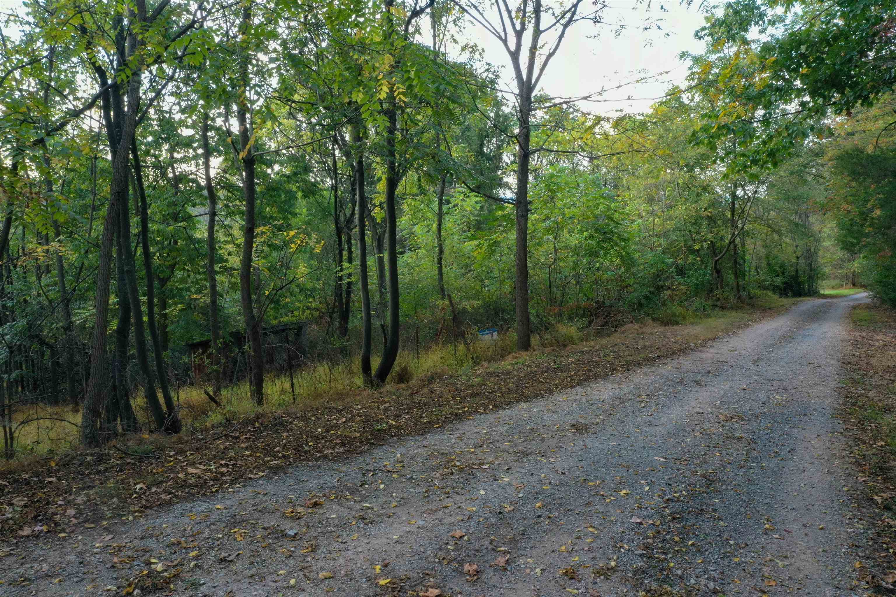 8771 SNOWDRIFT LN, BROADWAY, Virginia 22815, ,Land,8771 SNOWDRIFT LN,670329 MLS # 670329 8771 SNOWDRIFT LN, BROADWAY, Virginia 22815, ,Land,8771 SNOWDRIFT LN,670329 MLS # 670329