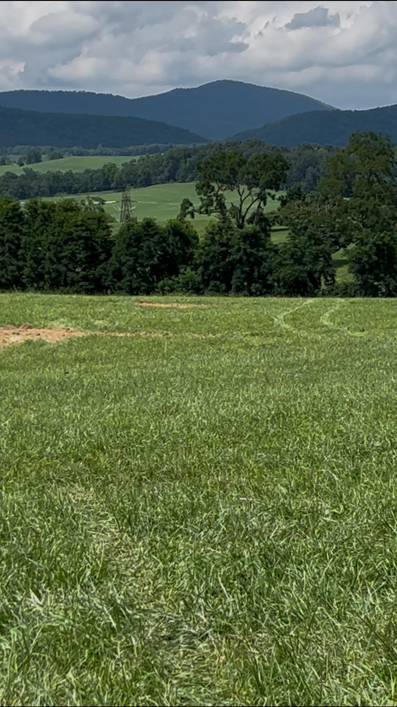 TBD ROUDABUSH LN, CHURCHVILLE, Virginia 24421, ,Land,TBD ROUDABUSH LN,670355 MLS # 670355 TBD ROUDABUSH LN, CHURCHVILLE, Virginia 24421, ,Land,TBD ROUDABUSH LN,670355 MLS # 670355
