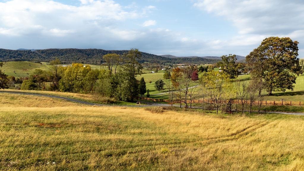 TBD ROUDABUSH LN, CHURCHVILLE, Virginia 24421, ,Land,TBD ROUDABUSH LN,670355 MLS # 670355 TBD ROUDABUSH LN, CHURCHVILLE, Virginia 24421, ,Land,TBD ROUDABUSH LN,670355 MLS # 670355