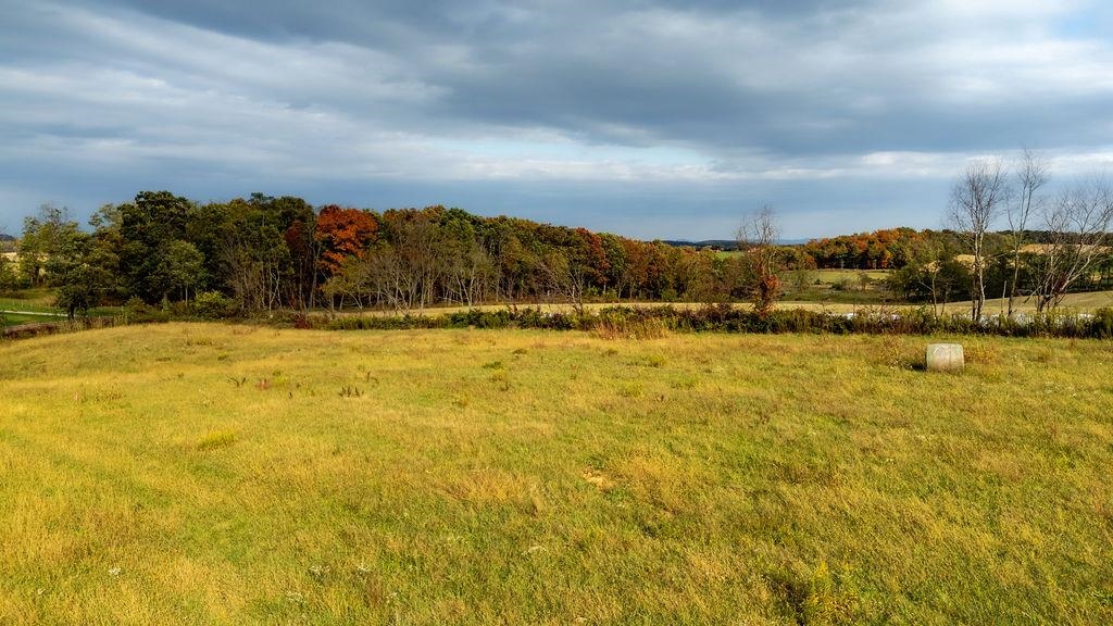 TBD ROUDABUSH LN, CHURCHVILLE, Virginia 24421, ,Land,TBD ROUDABUSH LN,670355 MLS # 670355 TBD ROUDABUSH LN, CHURCHVILLE, Virginia 24421, ,Land,TBD ROUDABUSH LN,670355 MLS # 670355