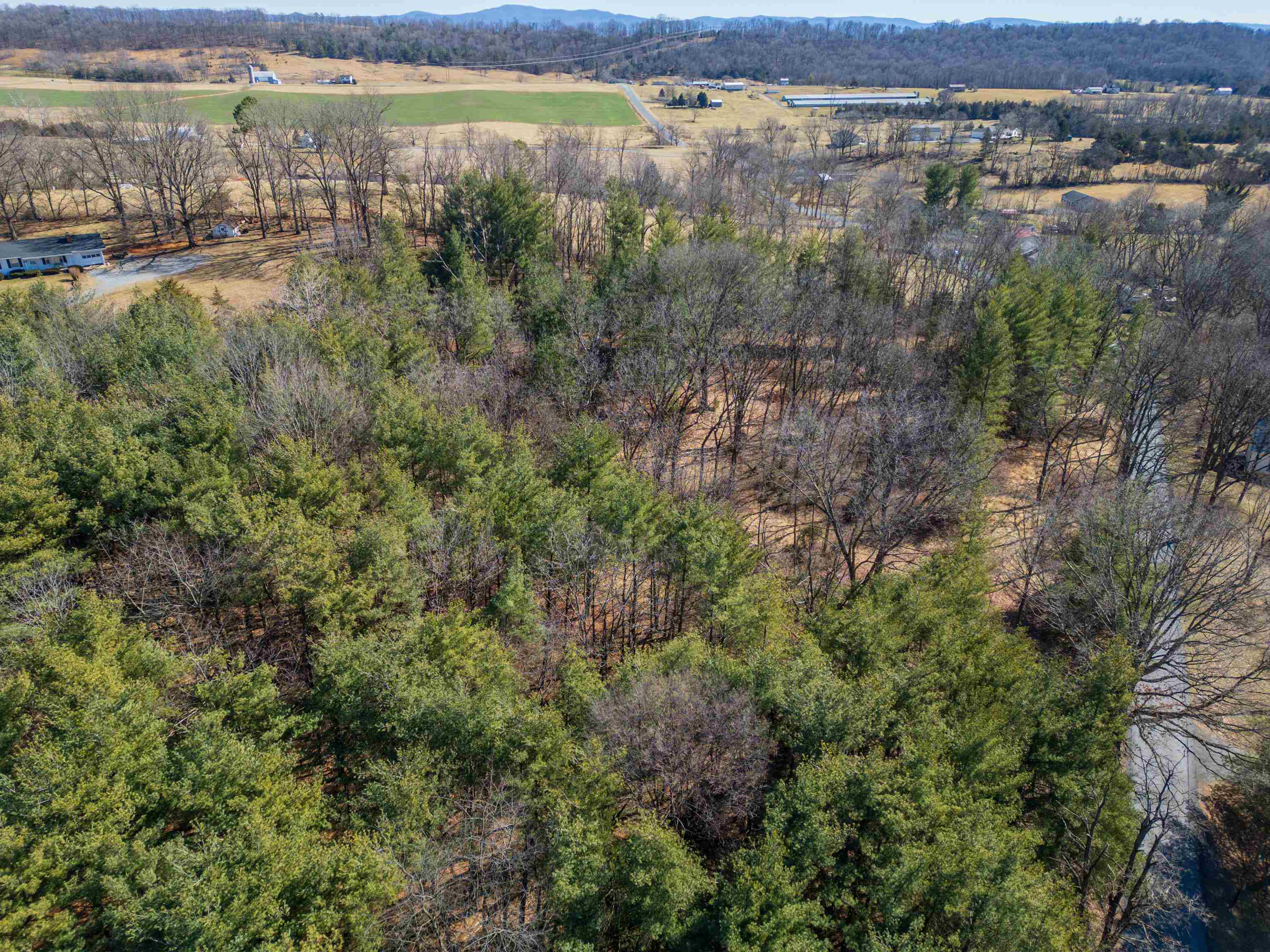 TBD FAIRVIEW RD, MOUNT CRAWFORD, Virginia 22841, ,Land,5 Acres (2 tax map tickets),TBD FAIRVIEW RD,670363 MLS # 670363 TBD FAIRVIEW RD, MOUNT CRAWFORD, Virginia 22841, ,Land,5 Acres (2 tax map tickets),TBD FAIRVIEW RD,670363 MLS # 670363