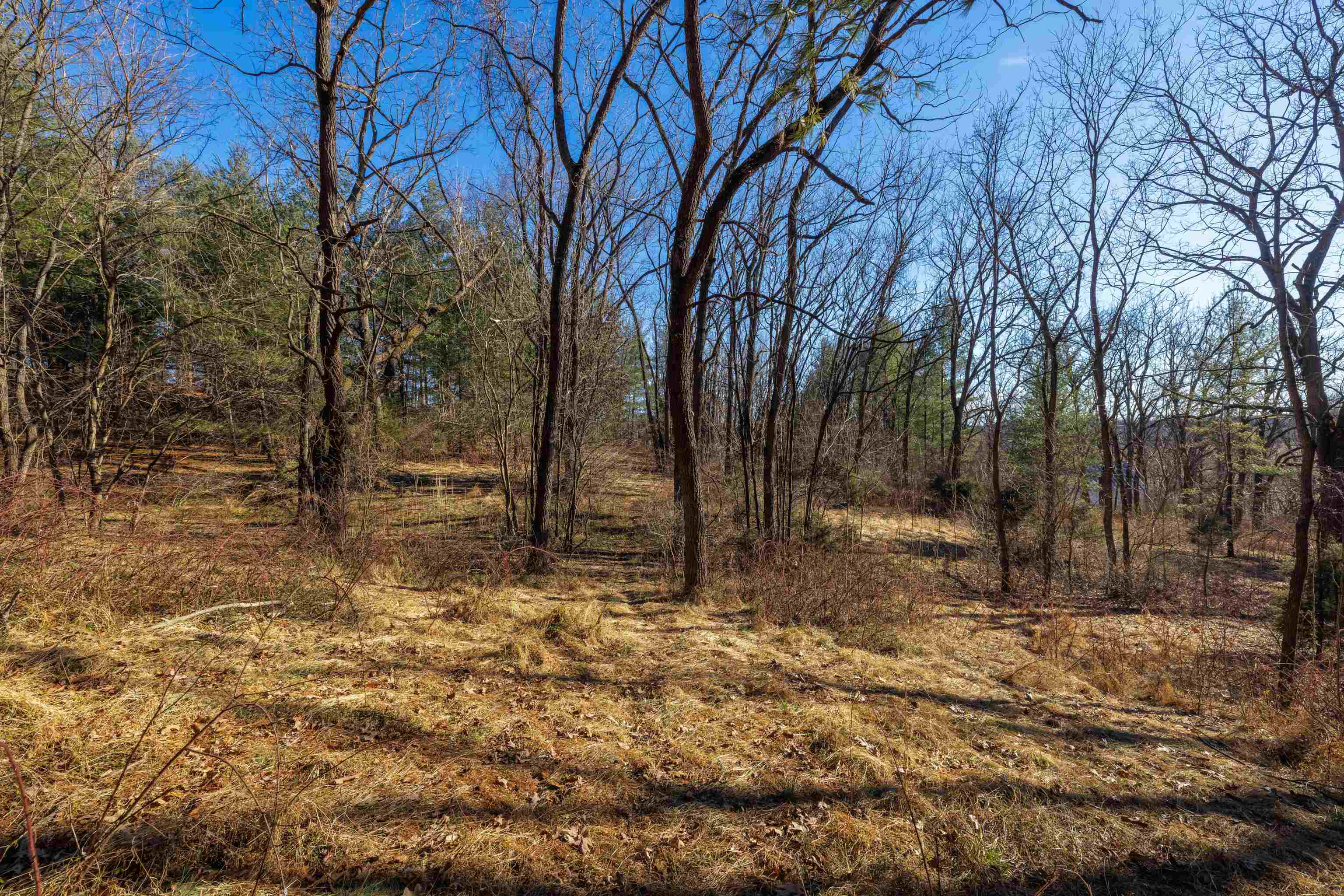 TBD FAIRVIEW RD, MOUNT CRAWFORD, Virginia 22841, ,Land,5 Acres (2 tax map tickets),TBD FAIRVIEW RD,670363 MLS # 670363 TBD FAIRVIEW RD, MOUNT CRAWFORD, Virginia 22841, ,Land,5 Acres (2 tax map tickets),TBD FAIRVIEW RD,670363 MLS # 670363