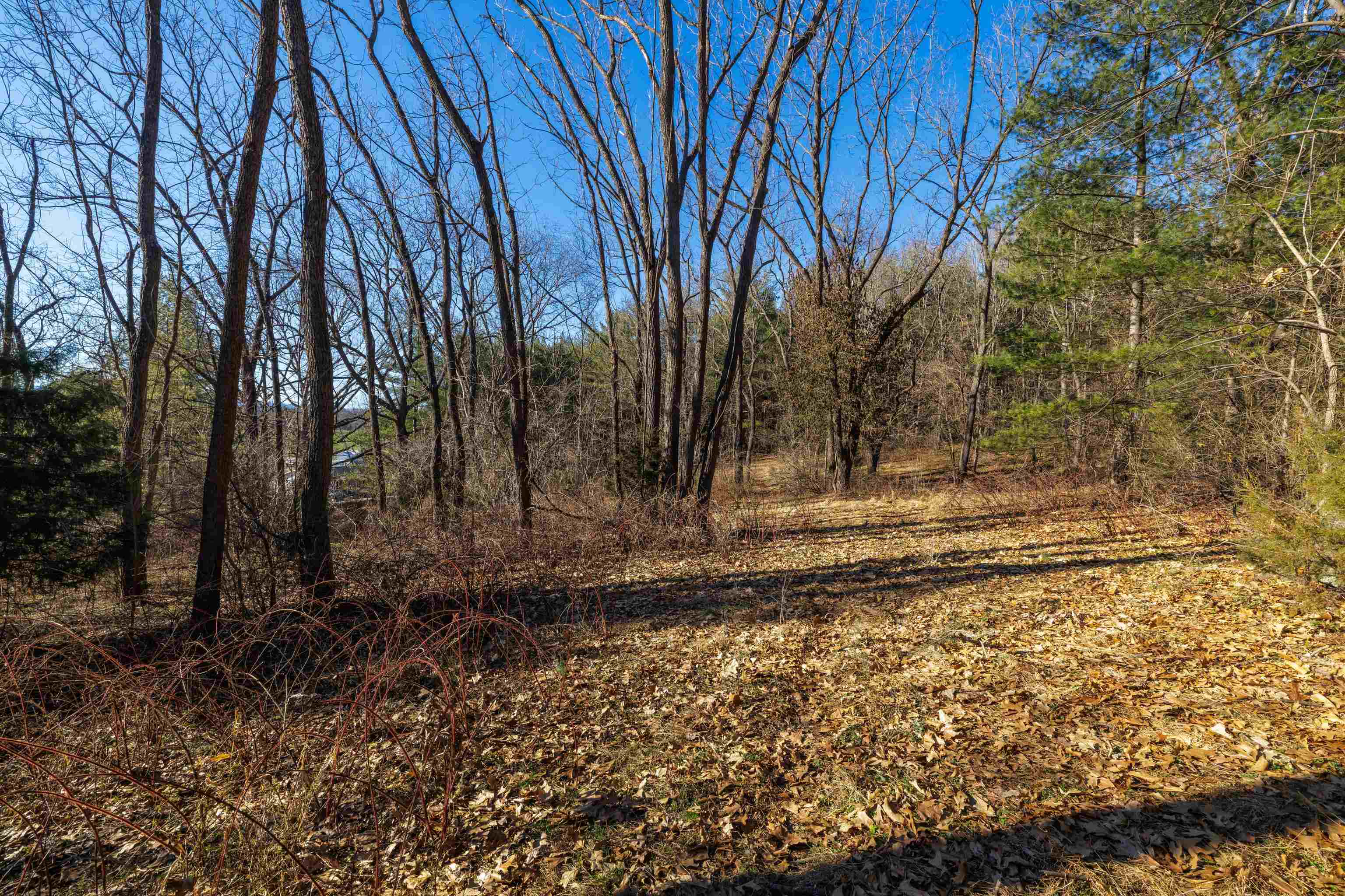 TBD FAIRVIEW RD, MOUNT CRAWFORD, Virginia 22841, ,Land,5 Acres (2 tax map tickets),TBD FAIRVIEW RD,670363 MLS # 670363 TBD FAIRVIEW RD, MOUNT CRAWFORD, Virginia 22841, ,Land,5 Acres (2 tax map tickets),TBD FAIRVIEW RD,670363 MLS # 670363