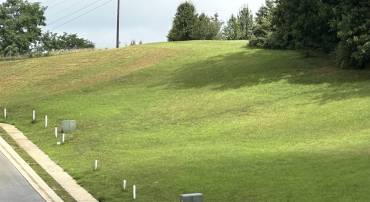 TBD COLLINSWOOD DR, STAUNTON, Virginia 24401, ,Land,Collinswood Lots,TBD COLLINSWOOD DR,670366 MLS # 670366