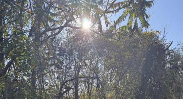 0 JEROME RD, MOUNT JACKSON, Virginia 22842, ,Land,0 JEROME RD,670388 MLS # 670388