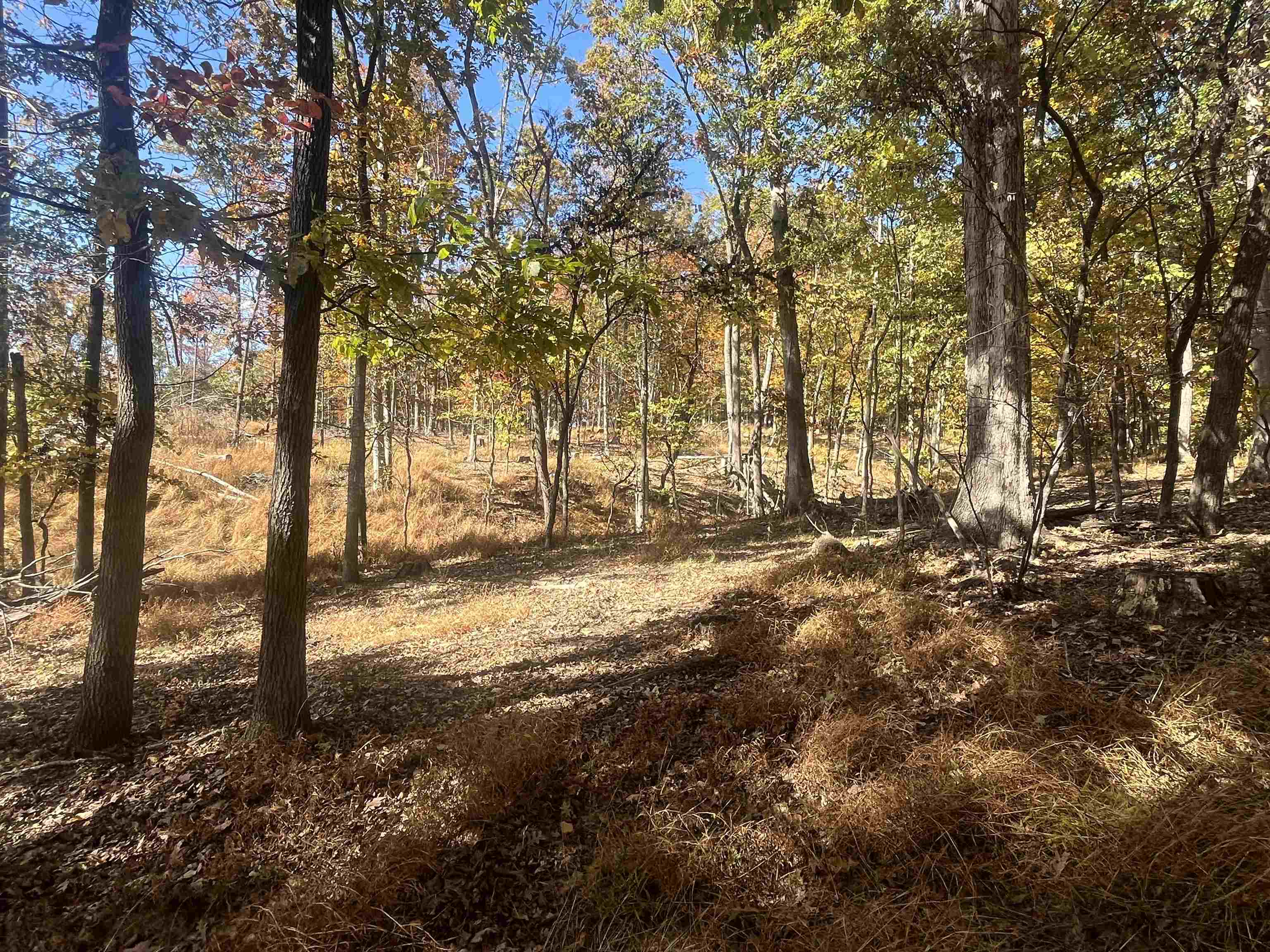 330 BALD ROCK RD, VERONA, Virginia 24482, ,Land,330 BALD ROCK RD,670394 MLS # 670394 330 BALD ROCK RD, VERONA, Virginia 24482, ,Land,330 BALD ROCK RD,670394 MLS # 670394