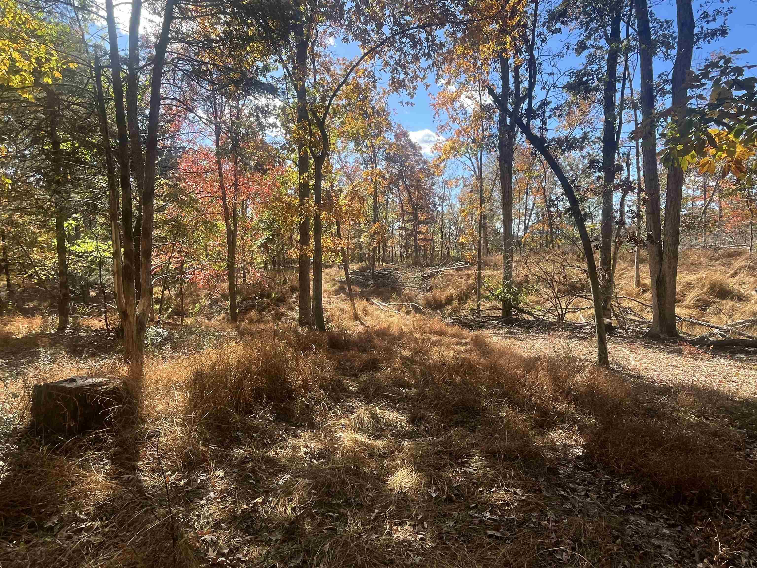 330 BALD ROCK RD, VERONA, Virginia 24482, ,Land,330 BALD ROCK RD,670394 MLS # 670394 330 BALD ROCK RD, VERONA, Virginia 24482, ,Land,330 BALD ROCK RD,670394 MLS # 670394