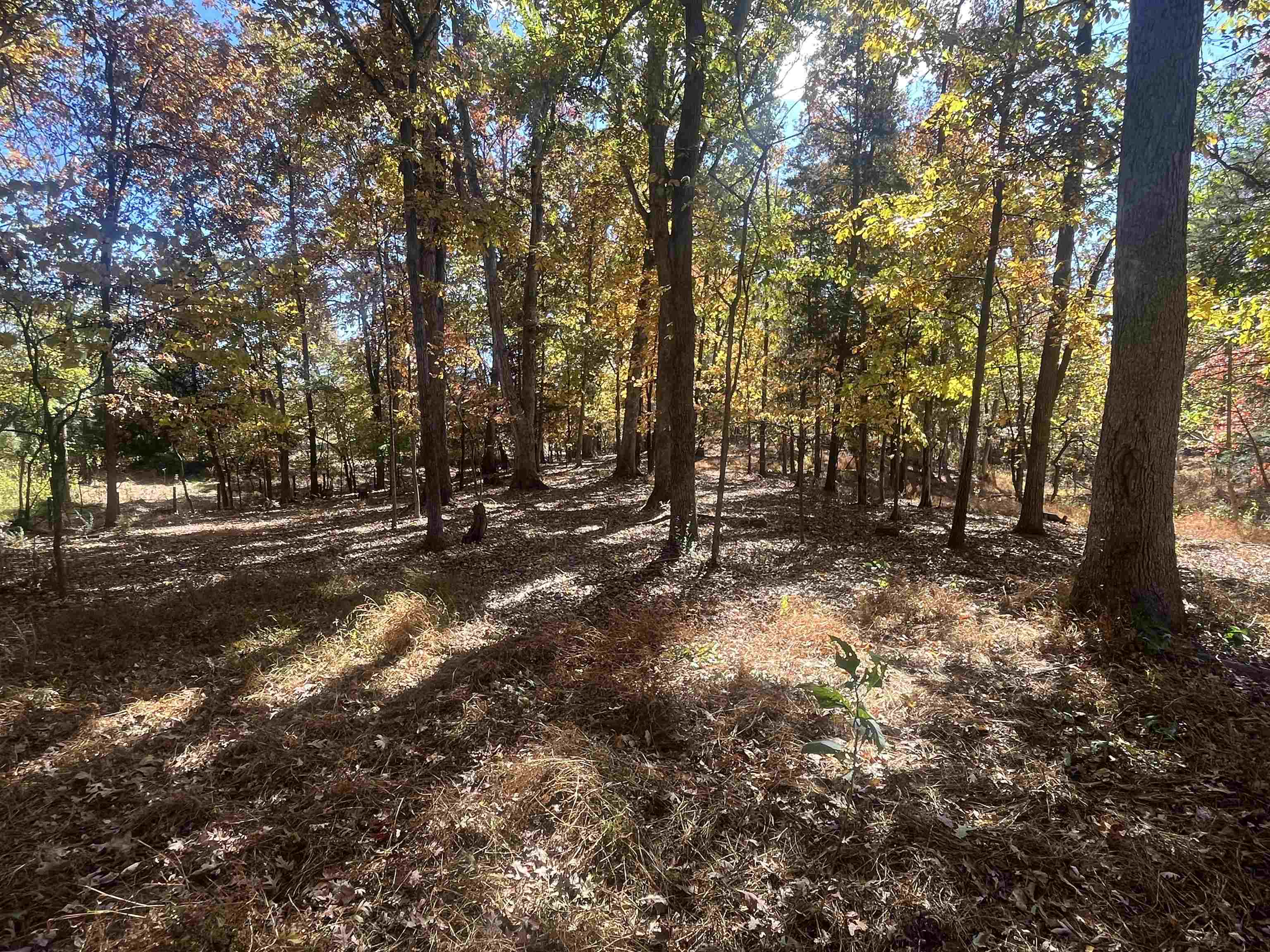 330 BALD ROCK RD, VERONA, Virginia 24482, ,Land,330 BALD ROCK RD,670394 MLS # 670394 330 BALD ROCK RD, VERONA, Virginia 24482, ,Land,330 BALD ROCK RD,670394 MLS # 670394