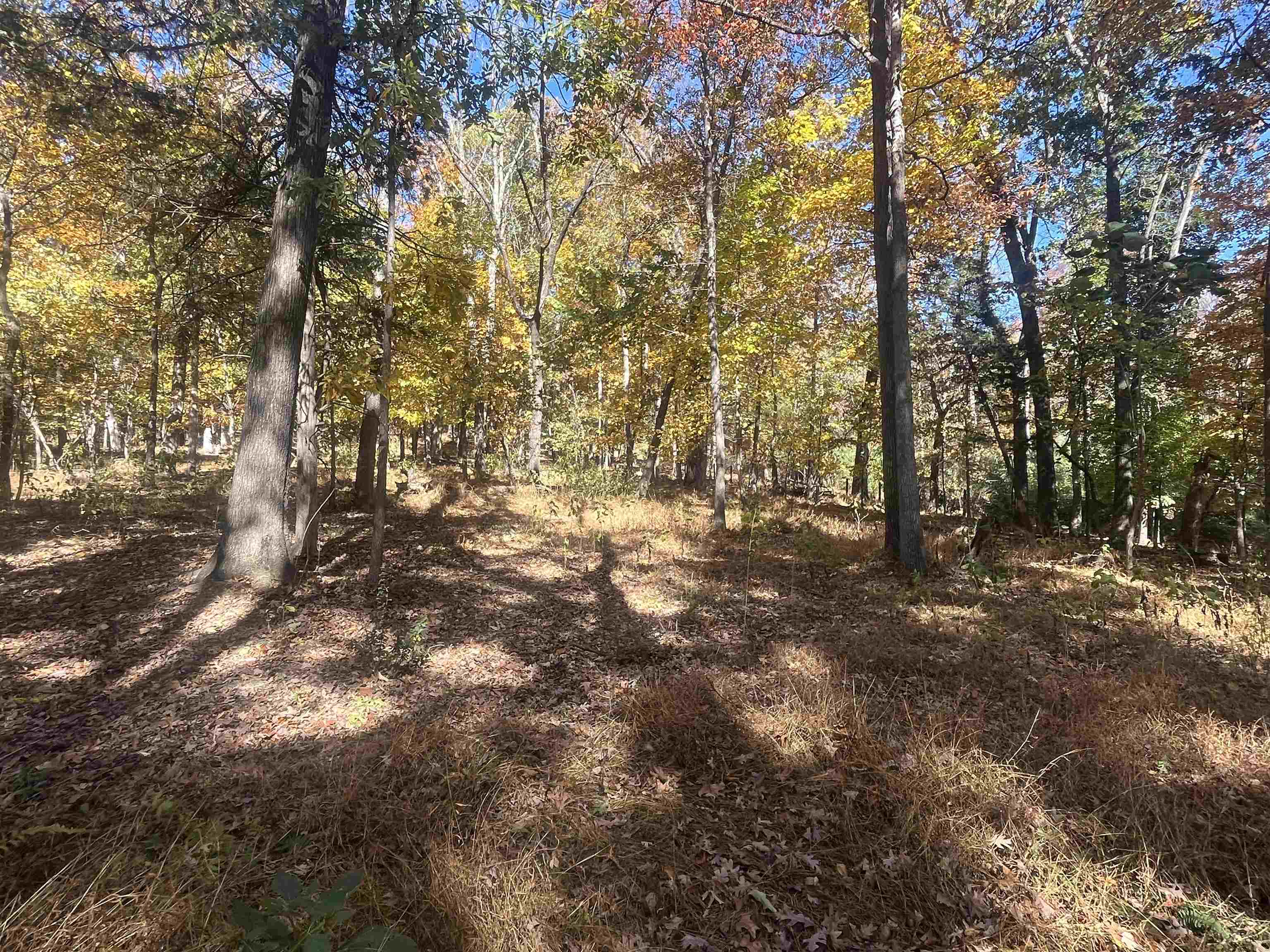 330 BALD ROCK RD, VERONA, Virginia 24482, ,Land,330 BALD ROCK RD,670394 MLS # 670394 330 BALD ROCK RD, VERONA, Virginia 24482, ,Land,330 BALD ROCK RD,670394 MLS # 670394