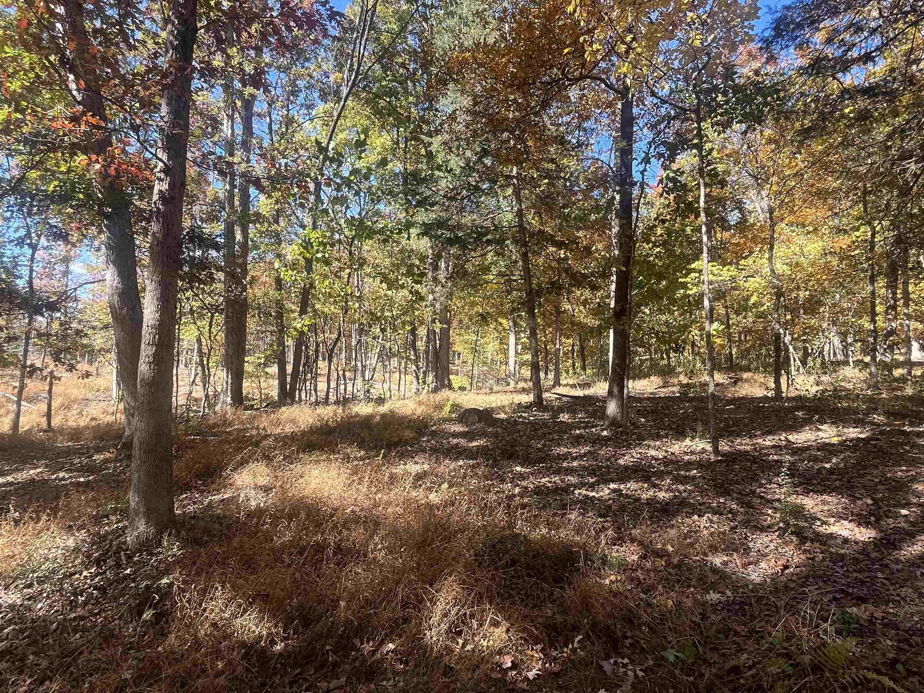 330 BALD ROCK RD, VERONA, Virginia 24482, ,Land,330 BALD ROCK RD,670394 MLS # 670394 330 BALD ROCK RD, VERONA, Virginia 24482, ,Land,330 BALD ROCK RD,670394 MLS # 670394