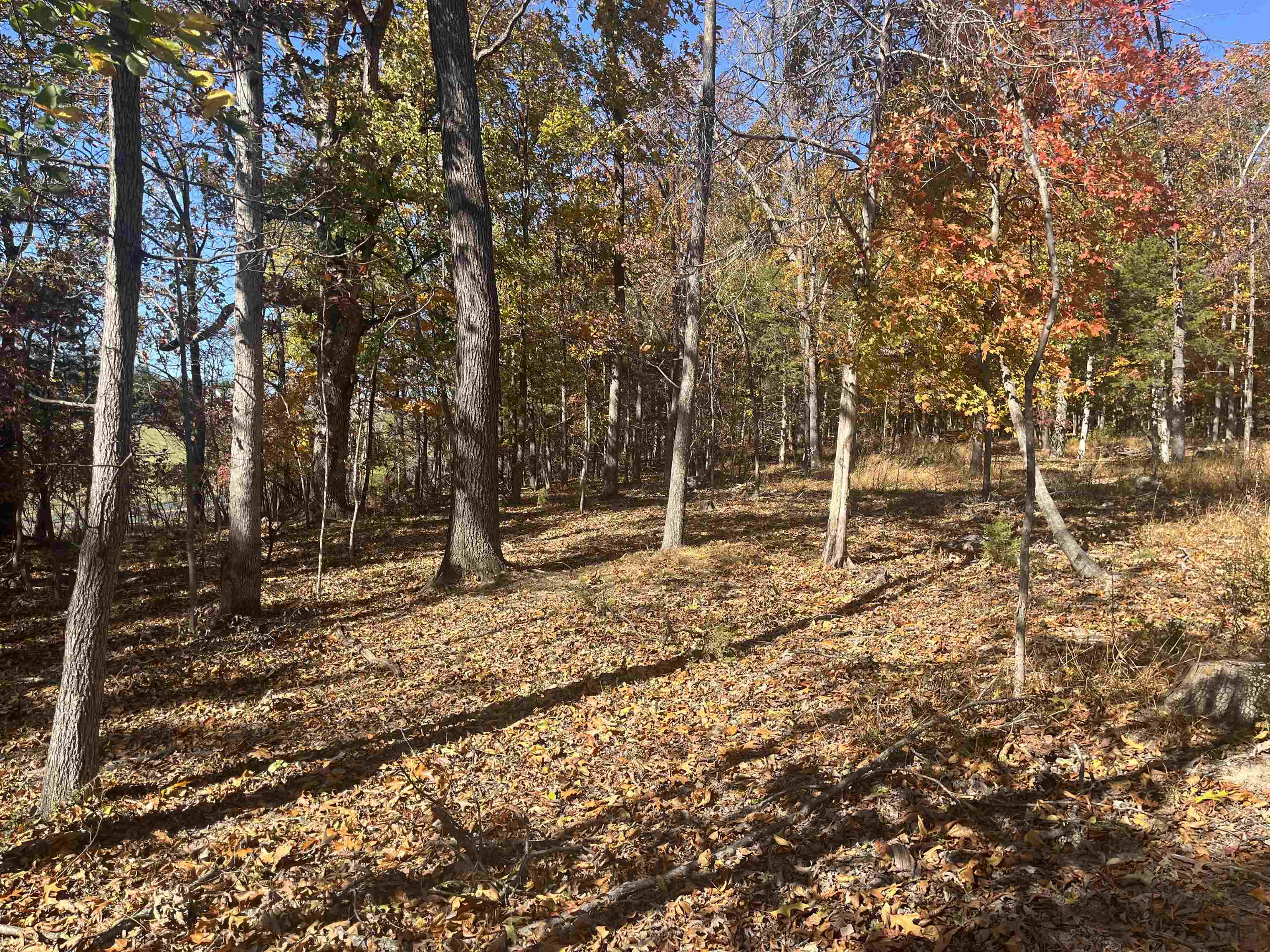 330 BALD ROCK RD, VERONA, Virginia 24482, ,Land,330 BALD ROCK RD,670394 MLS # 670394 330 BALD ROCK RD, VERONA, Virginia 24482, ,Land,330 BALD ROCK RD,670394 MLS # 670394