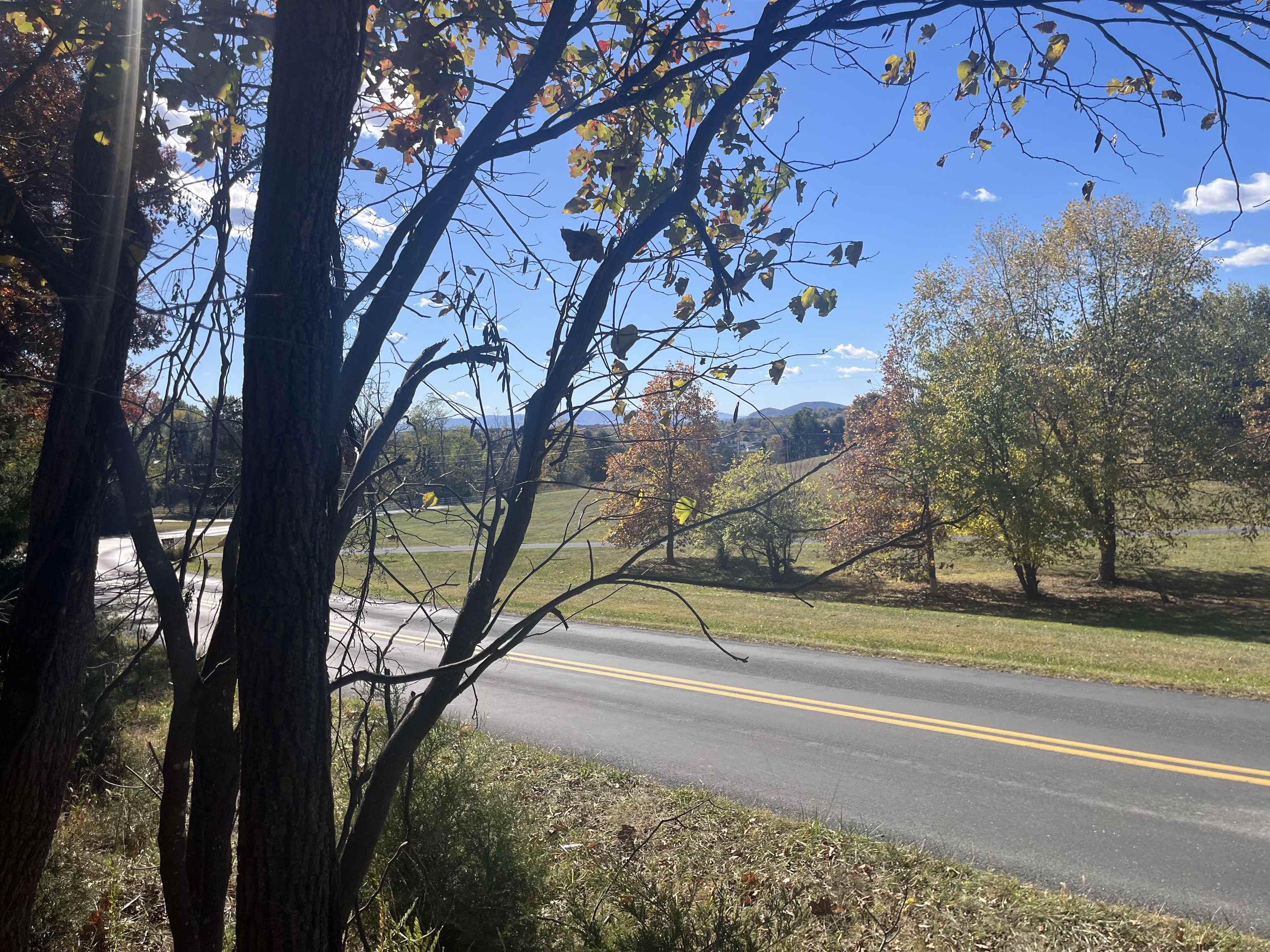 330 BALD ROCK RD, VERONA, Virginia 24482, ,Land,330 BALD ROCK RD,670394 MLS # 670394 330 BALD ROCK RD, VERONA, Virginia 24482, ,Land,330 BALD ROCK RD,670394 MLS # 670394