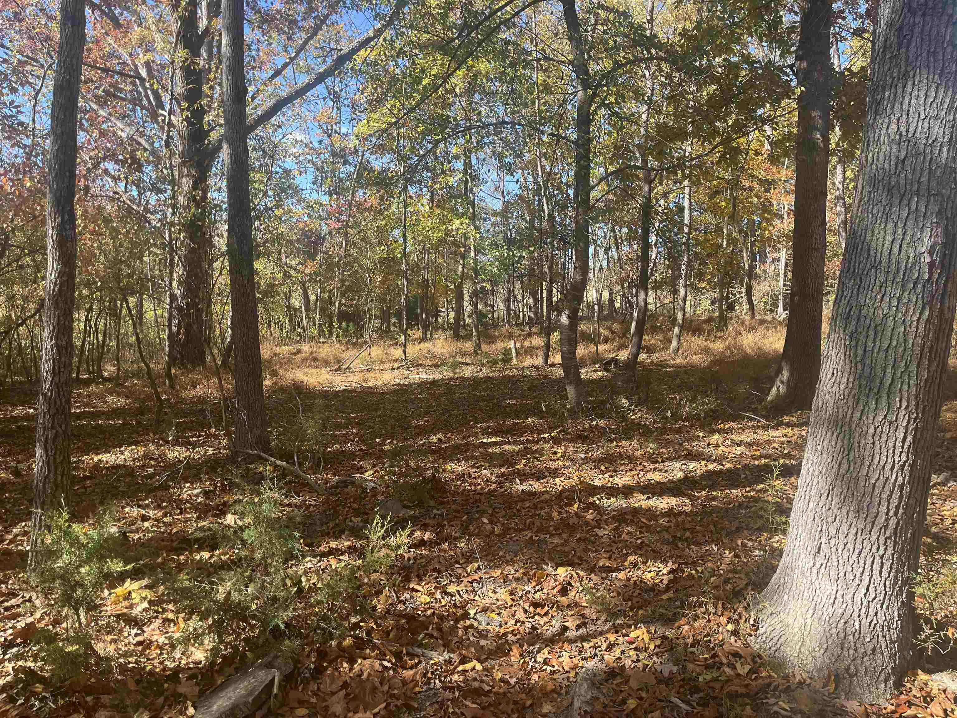 330 BALD ROCK RD, VERONA, Virginia 24482, ,Land,330 BALD ROCK RD,670394 MLS # 670394 330 BALD ROCK RD, VERONA, Virginia 24482, ,Land,330 BALD ROCK RD,670394 MLS # 670394