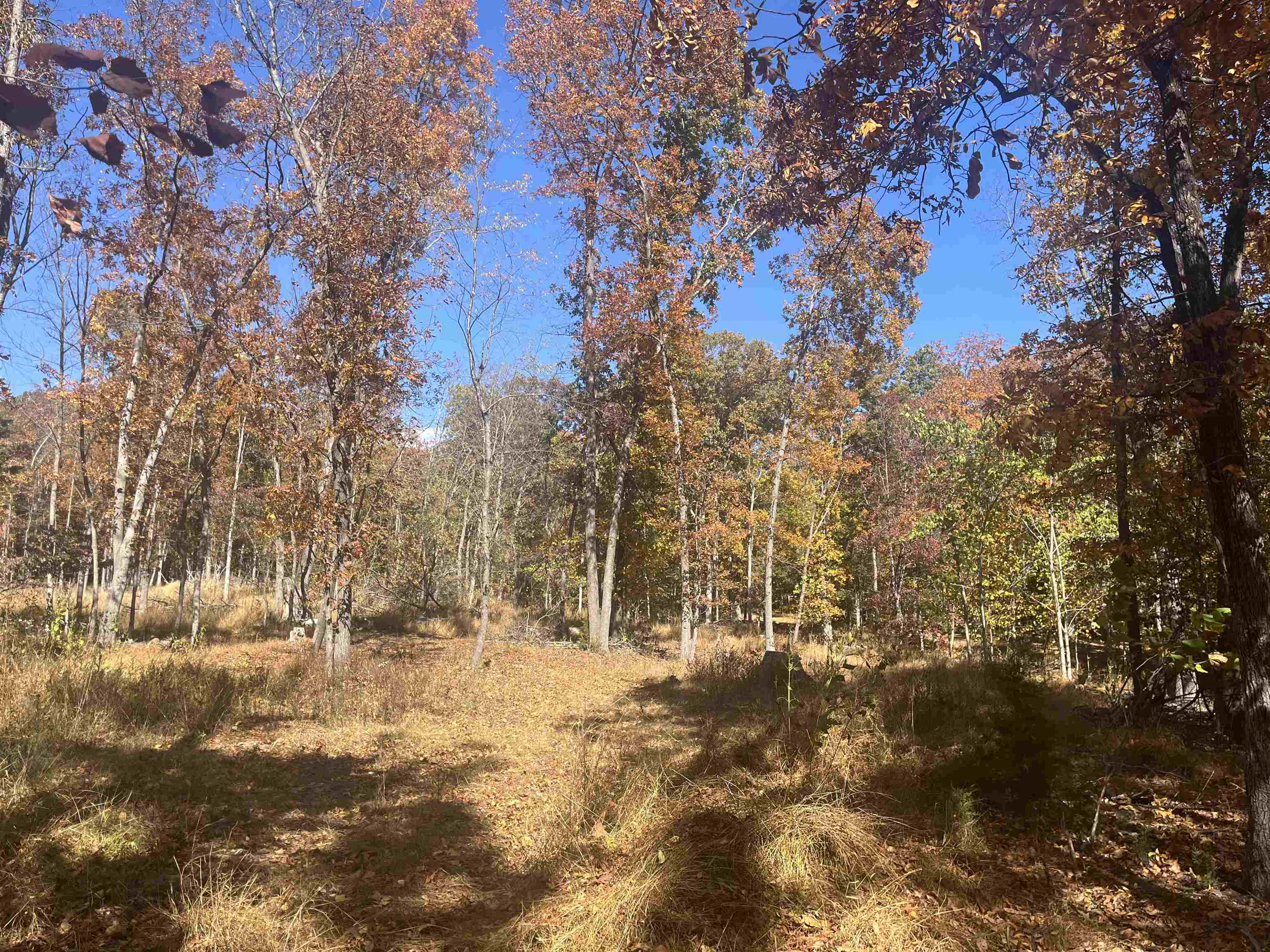 330 BALD ROCK RD, VERONA, Virginia 24482, ,Land,330 BALD ROCK RD,670394 MLS # 670394 330 BALD ROCK RD, VERONA, Virginia 24482, ,Land,330 BALD ROCK RD,670394 MLS # 670394