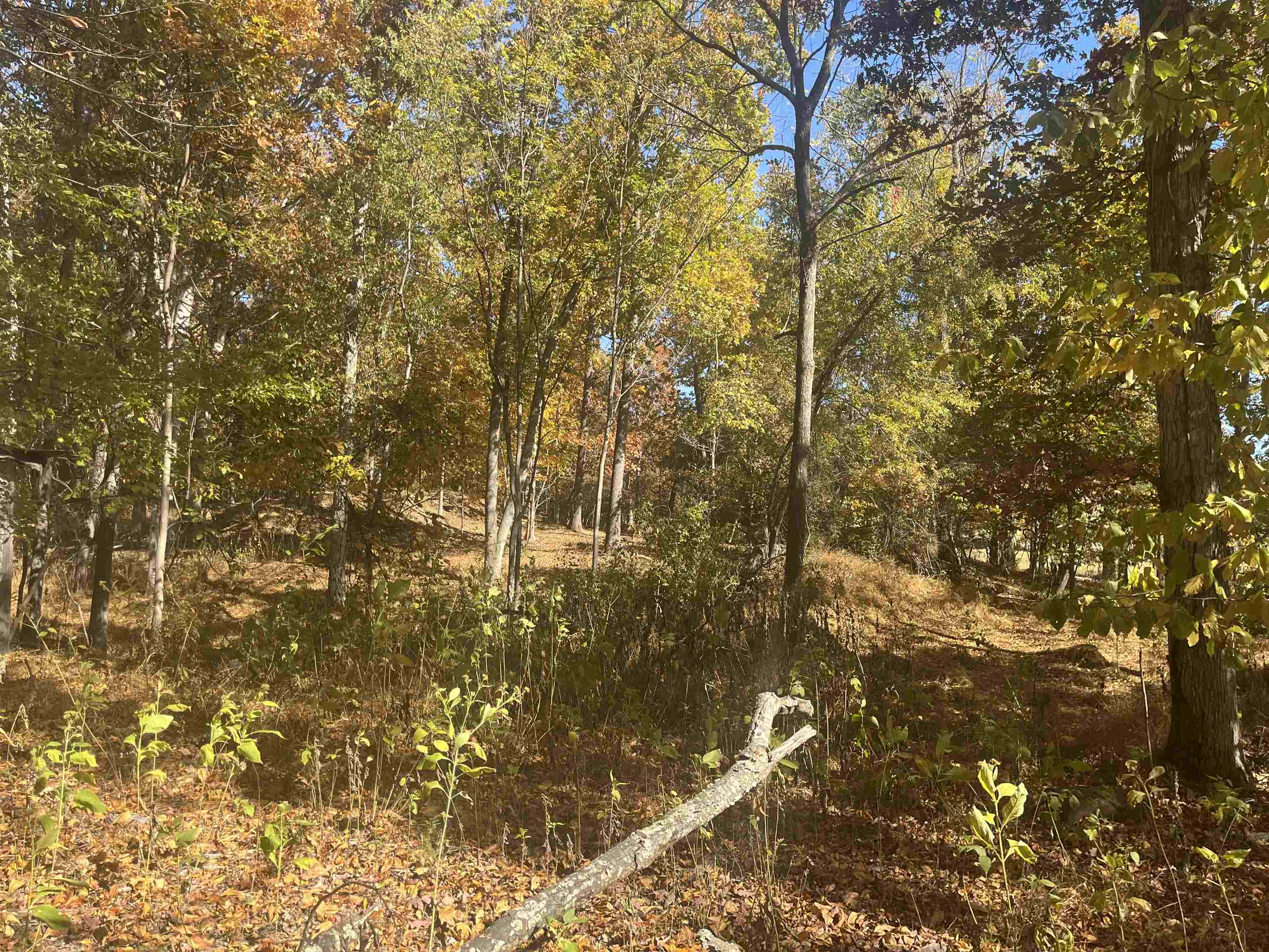 330 BALD ROCK RD, VERONA, Virginia 24482, ,Land,330 BALD ROCK RD,670394 MLS # 670394 330 BALD ROCK RD, VERONA, Virginia 24482, ,Land,330 BALD ROCK RD,670394 MLS # 670394