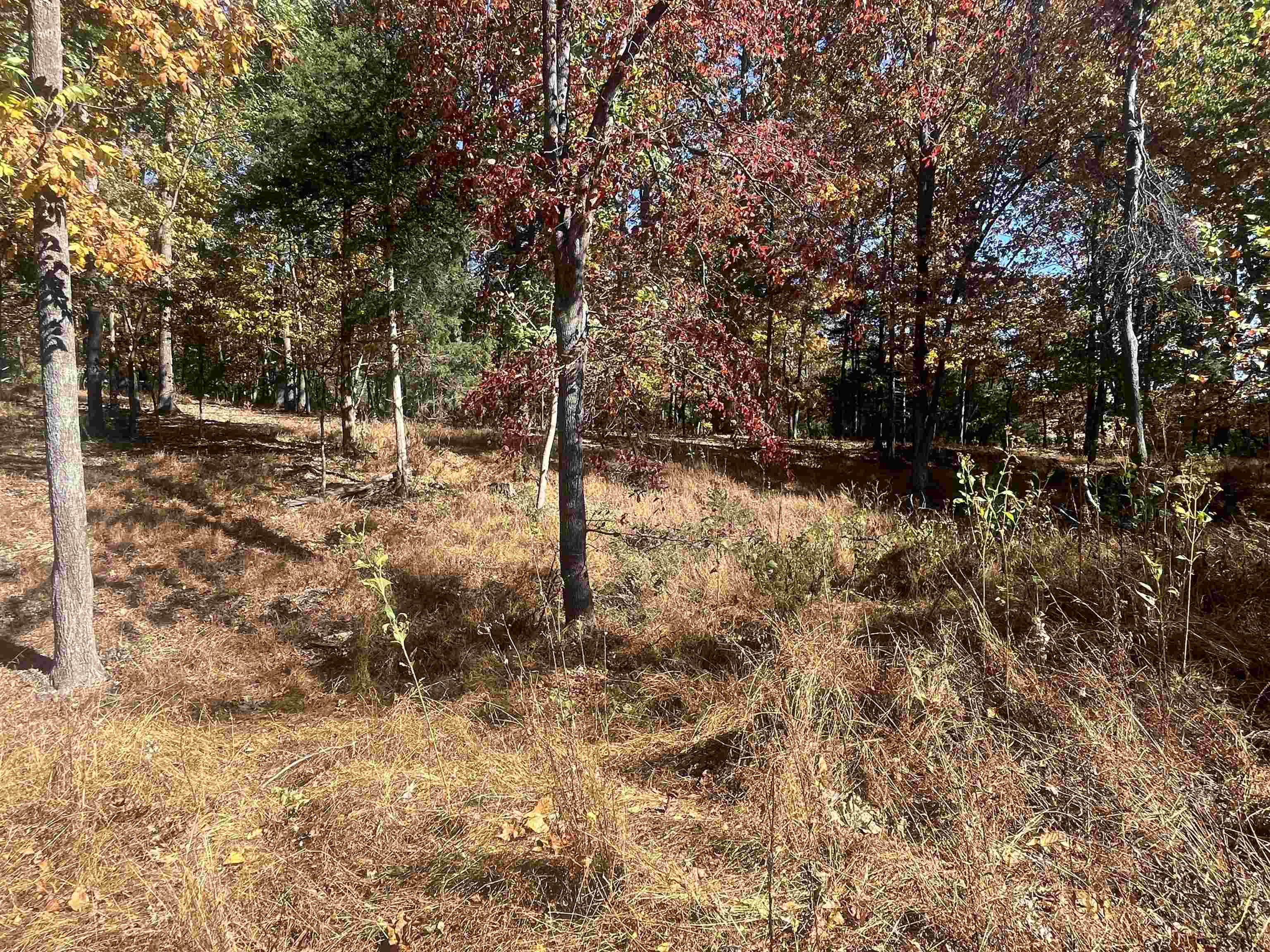 330 BALD ROCK RD, VERONA, Virginia 24482, ,Land,330 BALD ROCK RD,670394 MLS # 670394 330 BALD ROCK RD, VERONA, Virginia 24482, ,Land,330 BALD ROCK RD,670394 MLS # 670394