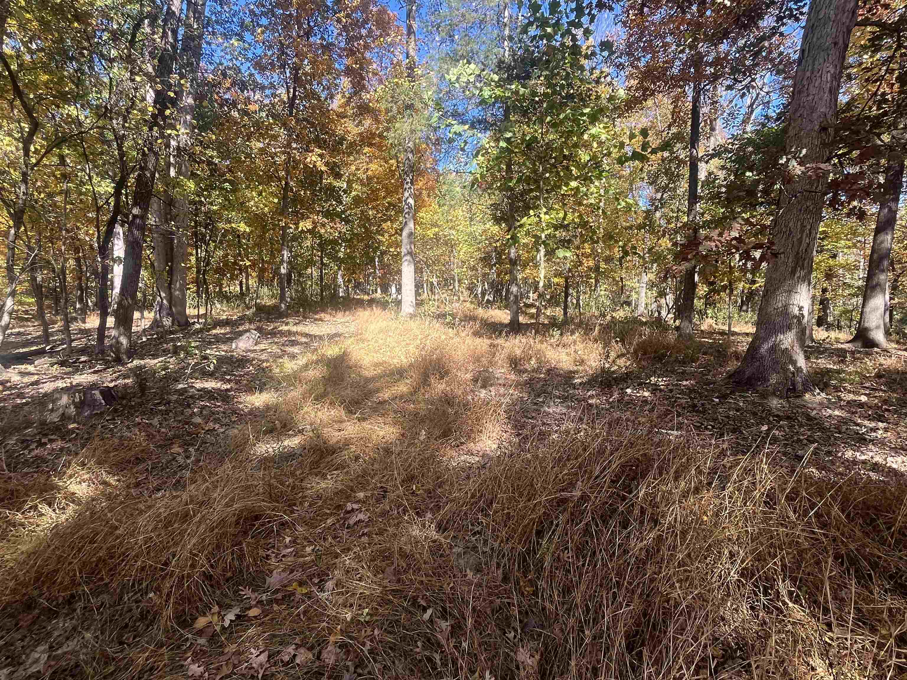 330 BALD ROCK RD, VERONA, Virginia 24482, ,Land,330 BALD ROCK RD,670394 MLS # 670394 330 BALD ROCK RD, VERONA, Virginia 24482, ,Land,330 BALD ROCK RD,670394 MLS # 670394