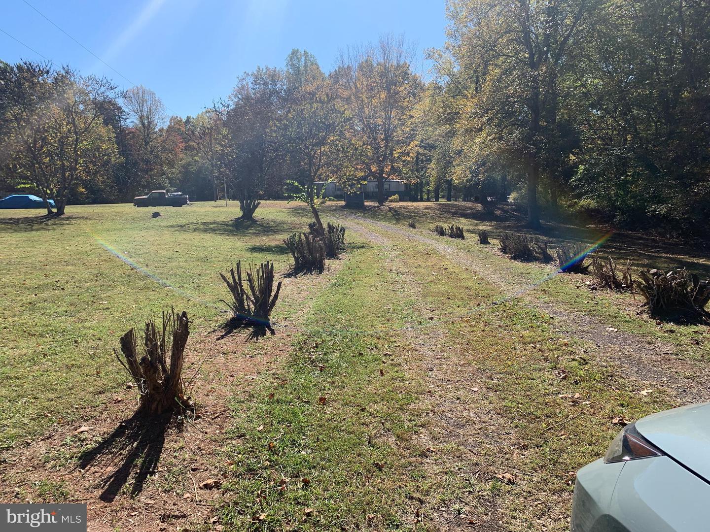 28282 RACCOON FORD RD, BURR HILL, Virginia 22433, ,Farm,For sale,28282 RACCOON FORD RD,VAOR2012612 MLS # VAOR2012612 28282 RACCOON FORD RD, BURR HILL, Virginia 22433, ,Farm,For sale,28282 RACCOON FORD RD,VAOR2012612 MLS # VAOR2012612