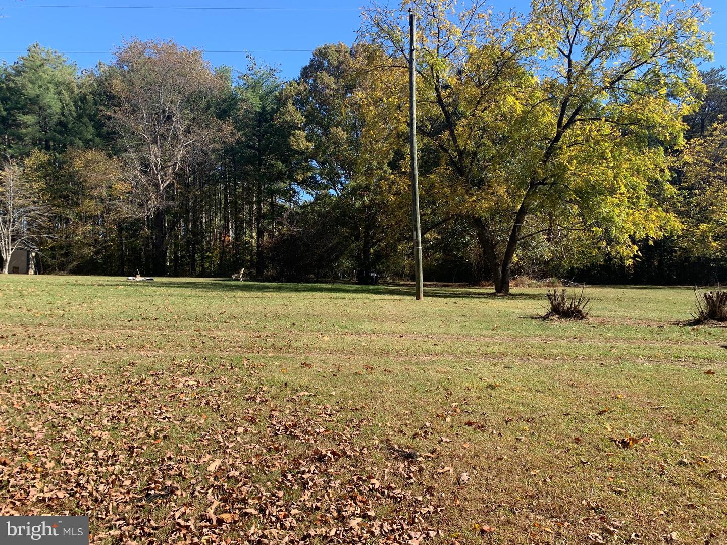 28282 RACCOON FORD RD, BURR HILL, Virginia 22433, ,Farm,For sale,28282 RACCOON FORD RD,VAOR2012612 MLS # VAOR2012612 28282 RACCOON FORD RD, BURR HILL, Virginia 22433, ,Farm,For sale,28282 RACCOON FORD RD,VAOR2012612 MLS # VAOR2012612