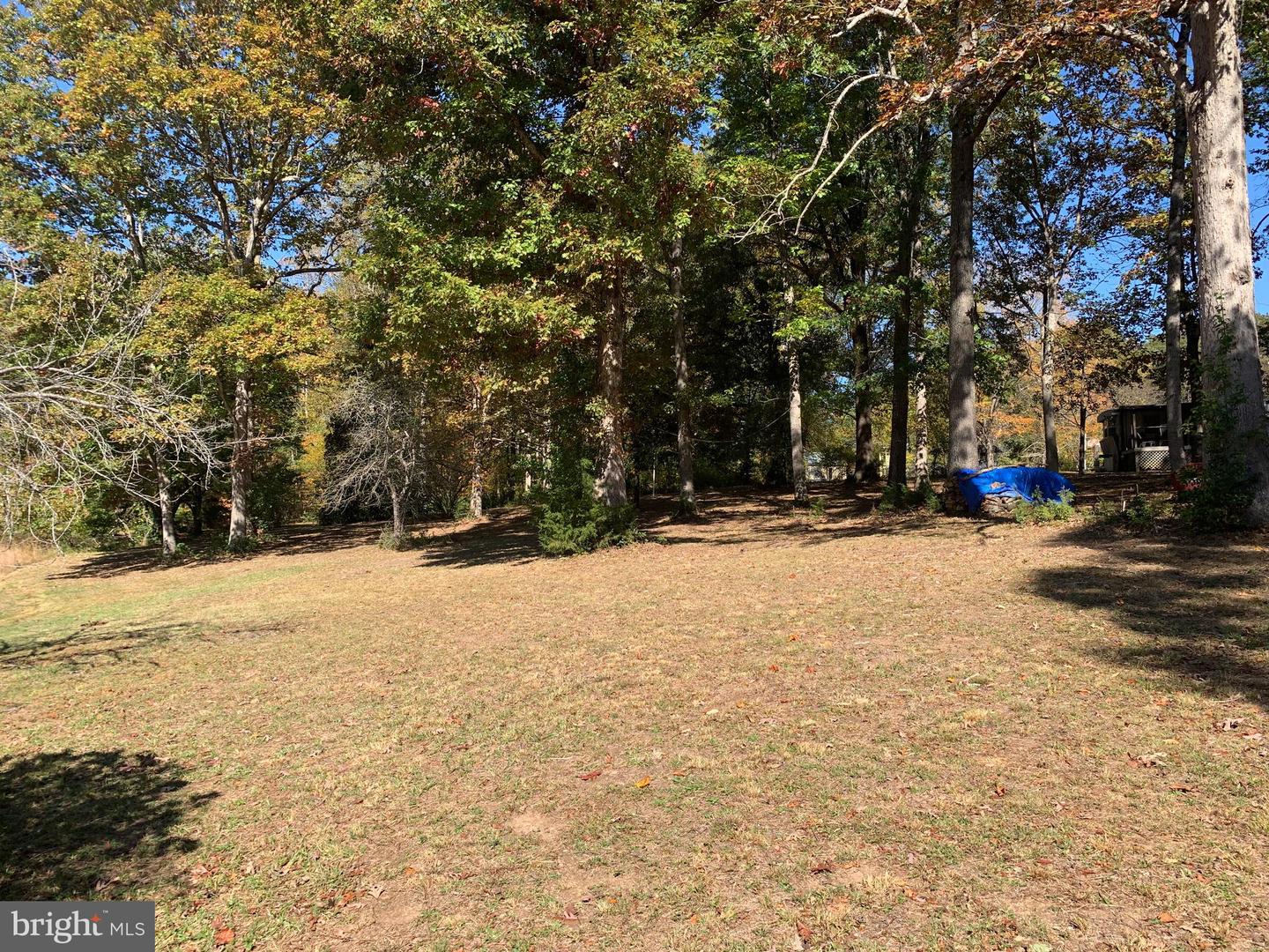 28282 RACCOON FORD RD, BURR HILL, Virginia 22433, ,Farm,For sale,28282 RACCOON FORD RD,VAOR2012612 MLS # VAOR2012612 28282 RACCOON FORD RD, BURR HILL, Virginia 22433, ,Farm,For sale,28282 RACCOON FORD RD,VAOR2012612 MLS # VAOR2012612