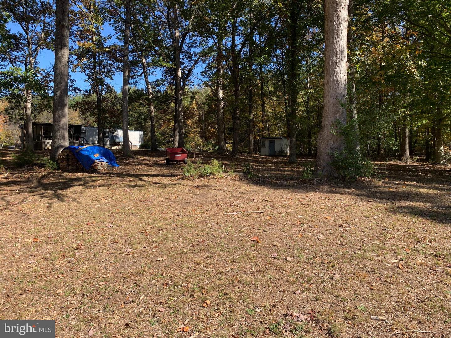 28282 RACCOON FORD RD, BURR HILL, Virginia 22433, ,Farm,For sale,28282 RACCOON FORD RD,VAOR2012612 MLS # VAOR2012612 28282 RACCOON FORD RD, BURR HILL, Virginia 22433, ,Farm,For sale,28282 RACCOON FORD RD,VAOR2012612 MLS # VAOR2012612