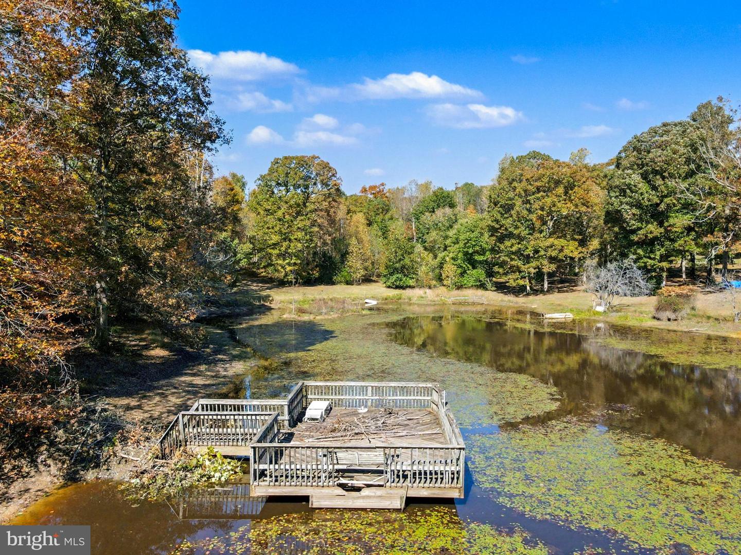 28282 RACCOON FORD RD, BURR HILL, Virginia 22433, ,Farm,For sale,28282 RACCOON FORD RD,VAOR2012612 MLS # VAOR2012612 28282 RACCOON FORD RD, BURR HILL, Virginia 22433, ,Farm,For sale,28282 RACCOON FORD RD,VAOR2012612 MLS # VAOR2012612