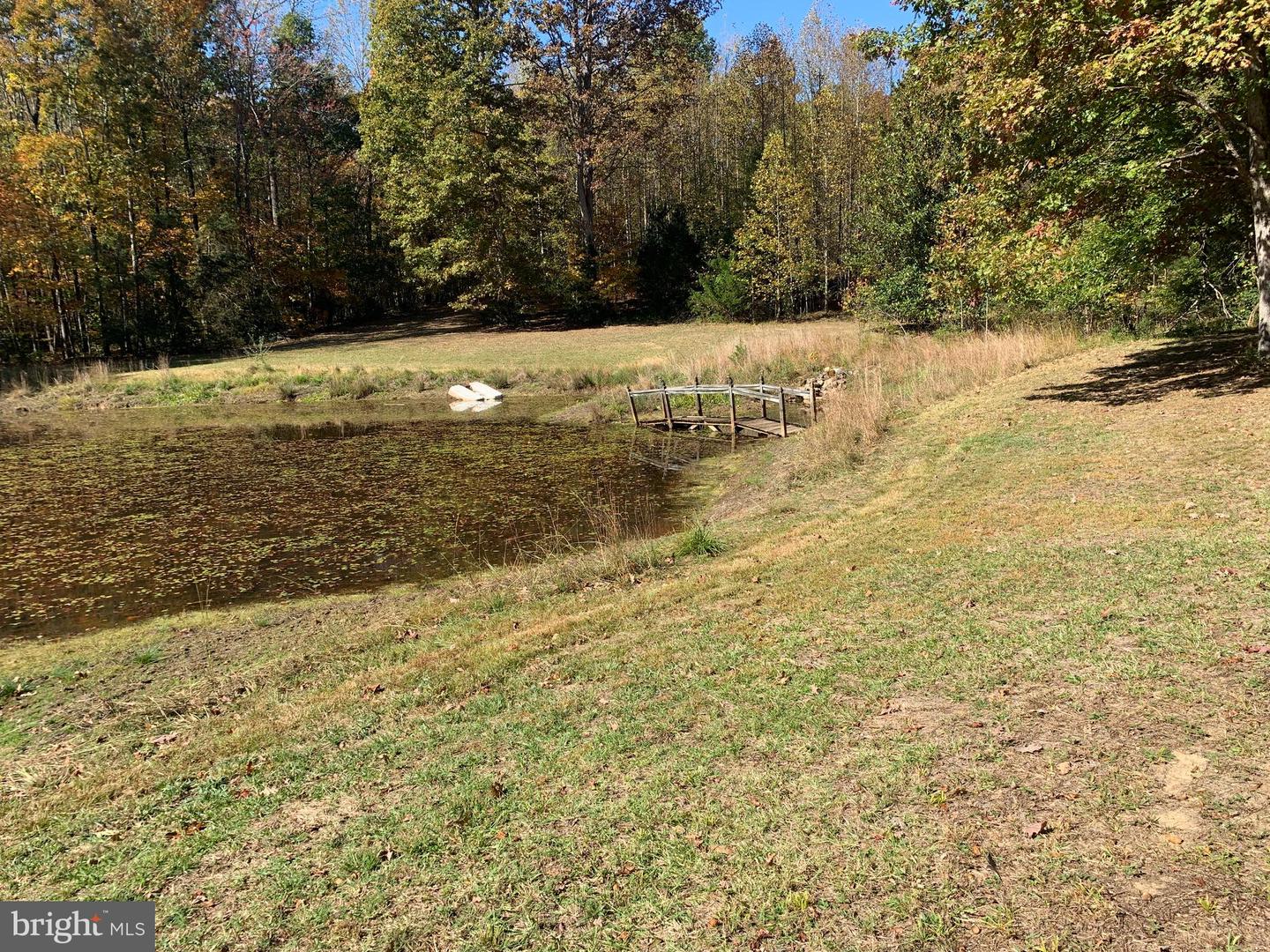 28282 RACCOON FORD RD, BURR HILL, Virginia 22433, ,Farm,For sale,28282 RACCOON FORD RD,VAOR2012612 MLS # VAOR2012612 28282 RACCOON FORD RD, BURR HILL, Virginia 22433, ,Farm,For sale,28282 RACCOON FORD RD,VAOR2012612 MLS # VAOR2012612