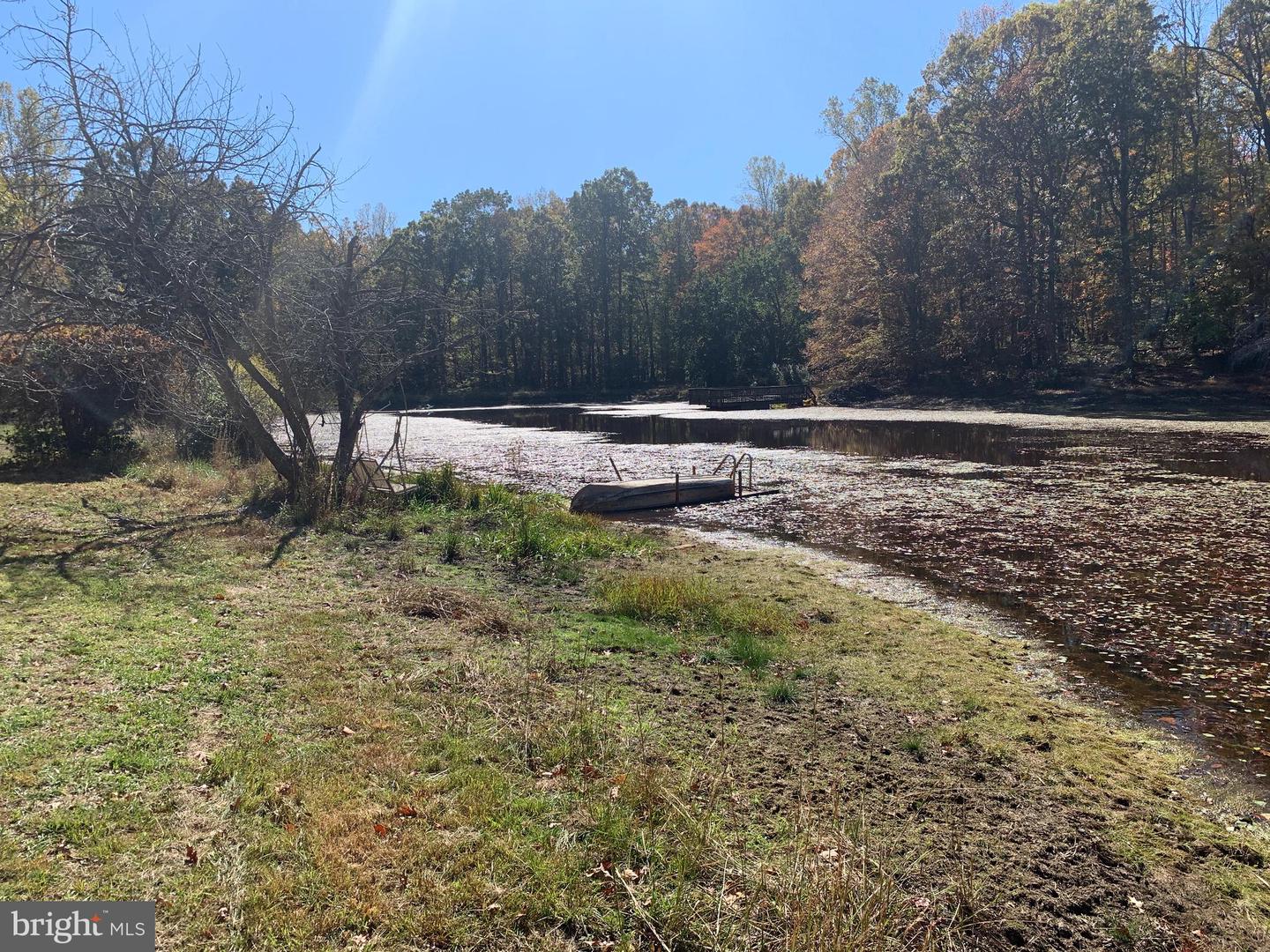 28282 RACCOON FORD RD, BURR HILL, Virginia 22433, ,Farm,For sale,28282 RACCOON FORD RD,VAOR2012612 MLS # VAOR2012612 28282 RACCOON FORD RD, BURR HILL, Virginia 22433, ,Farm,For sale,28282 RACCOON FORD RD,VAOR2012612 MLS # VAOR2012612