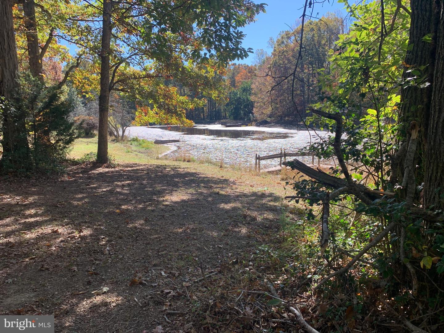 28282 RACCOON FORD RD, BURR HILL, Virginia 22433, ,Farm,For sale,28282 RACCOON FORD RD,VAOR2012612 MLS # VAOR2012612 28282 RACCOON FORD RD, BURR HILL, Virginia 22433, ,Farm,For sale,28282 RACCOON FORD RD,VAOR2012612 MLS # VAOR2012612