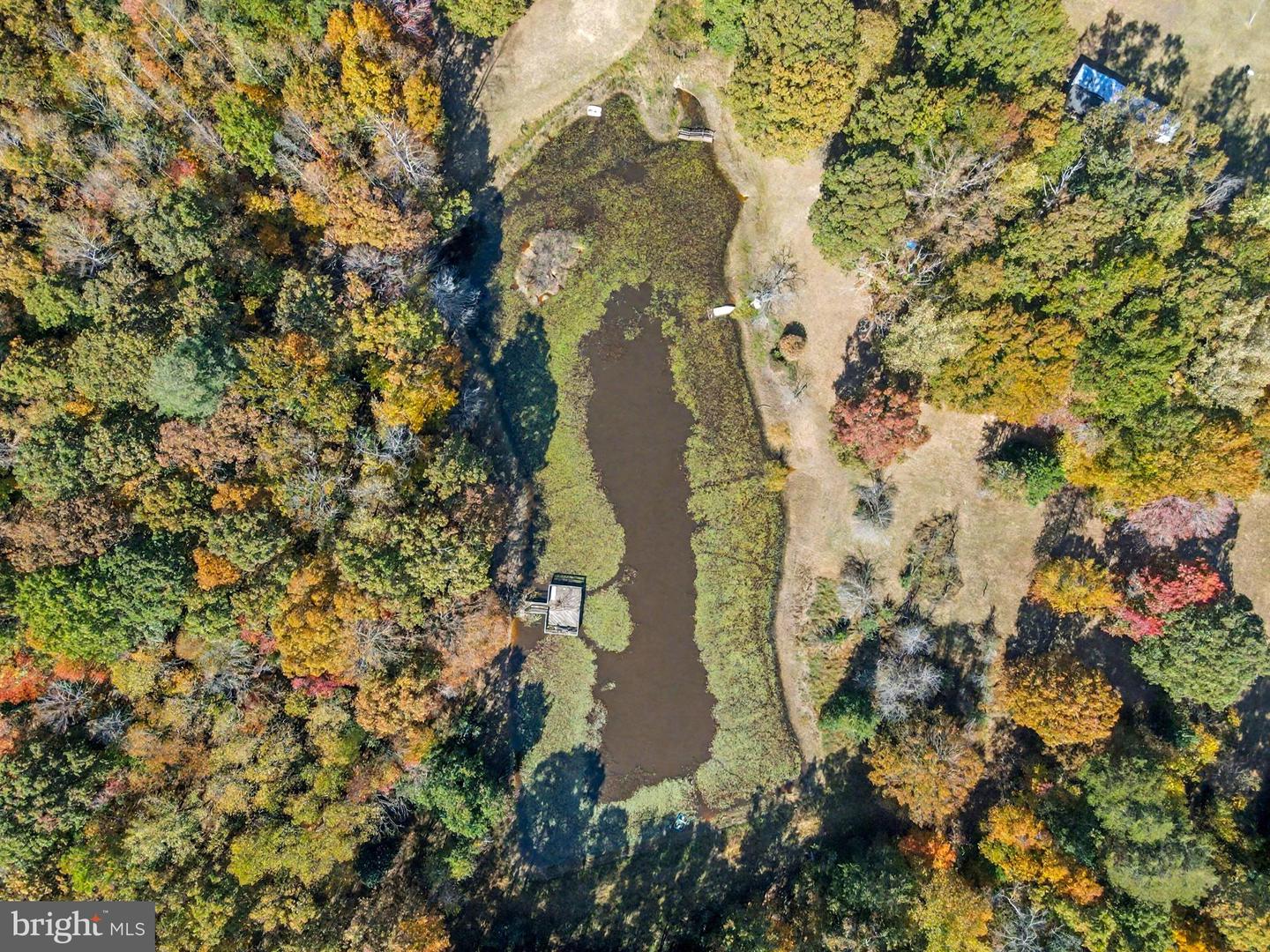 28282 RACCOON FORD RD, BURR HILL, Virginia 22433, ,Farm,For sale,28282 RACCOON FORD RD,VAOR2012612 MLS # VAOR2012612 28282 RACCOON FORD RD, BURR HILL, Virginia 22433, ,Farm,For sale,28282 RACCOON FORD RD,VAOR2012612 MLS # VAOR2012612