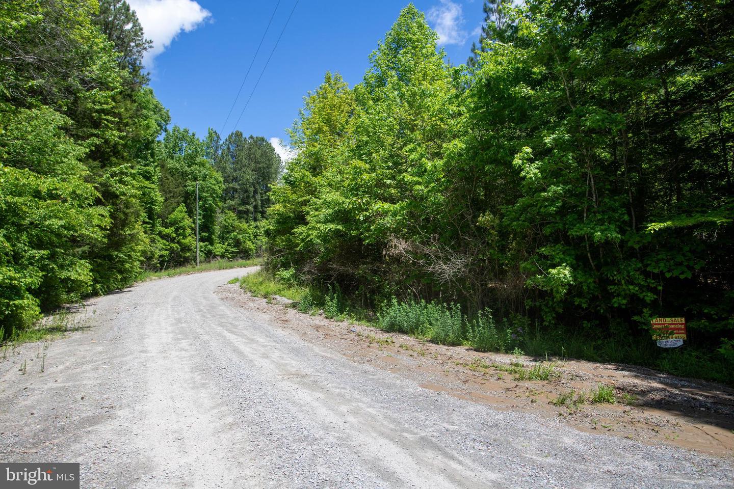 DOSWELL TOWN ROAD #5, MEHERRIN, Virginia 23954, ,Land,For sale,DOSWELL TOWN ROAD #5,VALB2000066 MLS # VALB2000066 DOSWELL TOWN ROAD #5, MEHERRIN, Virginia 23954, ,Land,For sale,DOSWELL TOWN ROAD #5,VALB2000066 MLS # VALB2000066