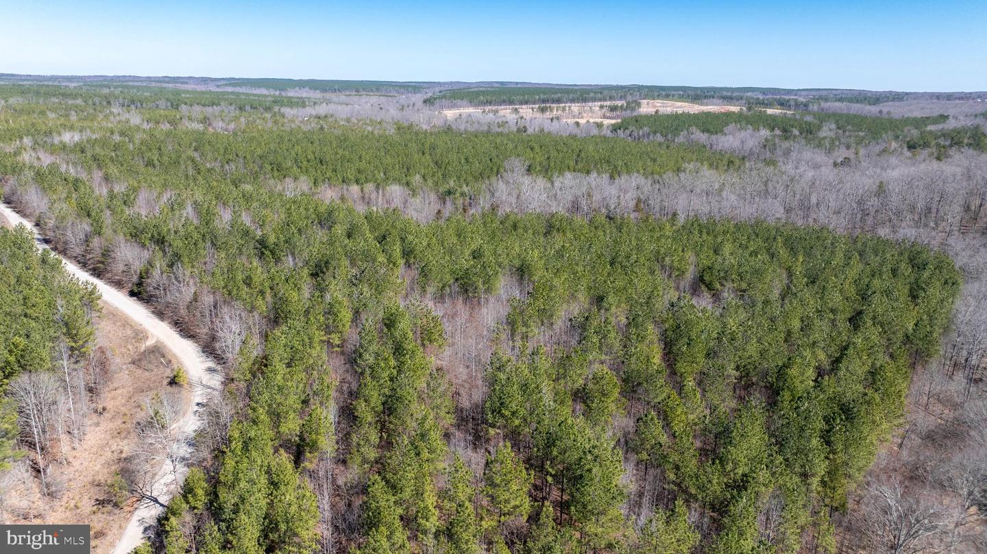 DOSWELL TOWN ROAD #5, MEHERRIN, Virginia 23954, ,Land,For sale,DOSWELL TOWN ROAD #5,VALB2000066 MLS # VALB2000066 DOSWELL TOWN ROAD #5, MEHERRIN, Virginia 23954, ,Land,For sale,DOSWELL TOWN ROAD #5,VALB2000066 MLS # VALB2000066