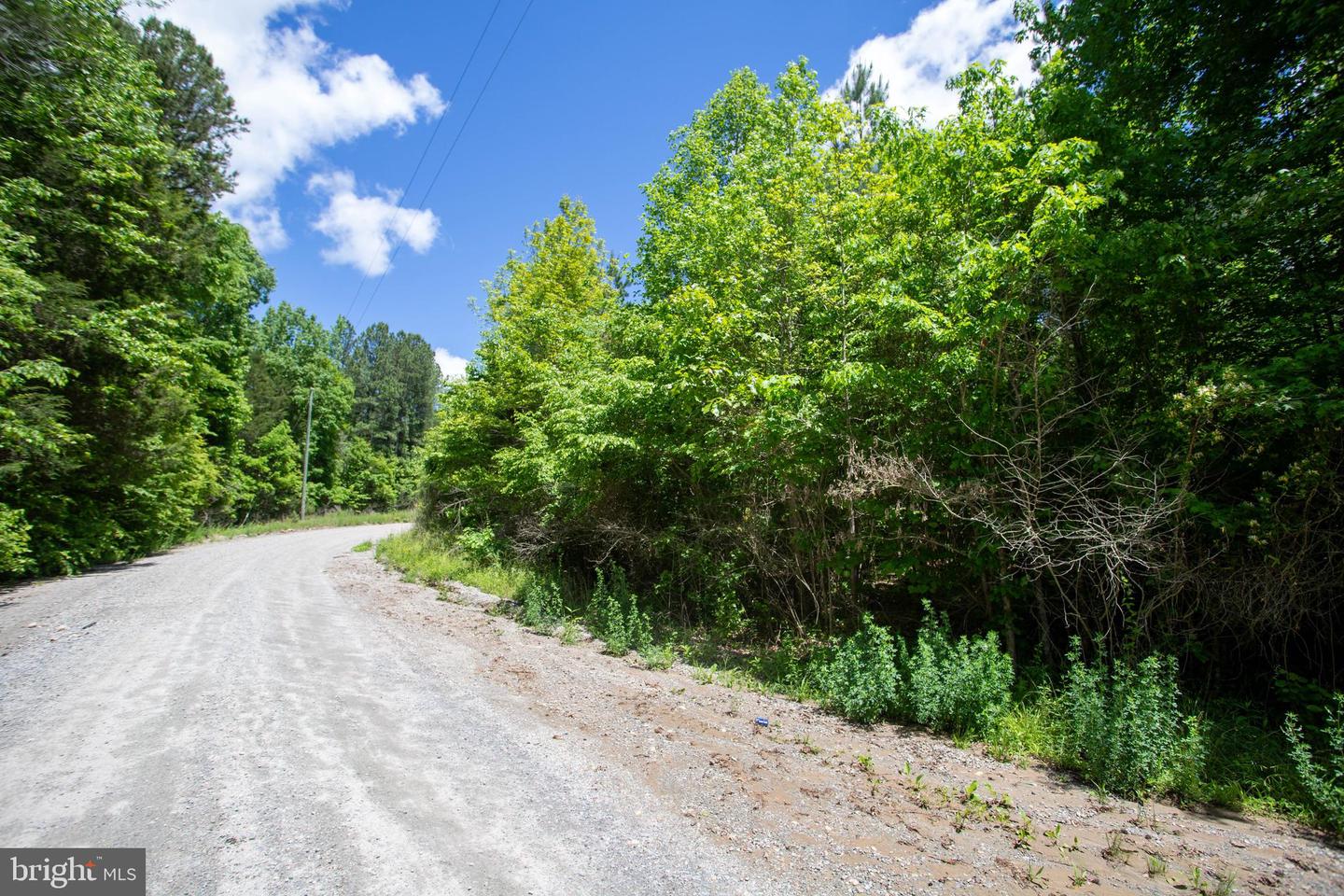DOSWELL TOWN ROAD #5, MEHERRIN, Virginia 23954, ,Land,For sale,DOSWELL TOWN ROAD #5,VALB2000066 MLS # VALB2000066 DOSWELL TOWN ROAD #5, MEHERRIN, Virginia 23954, ,Land,For sale,DOSWELL TOWN ROAD #5,VALB2000066 MLS # VALB2000066