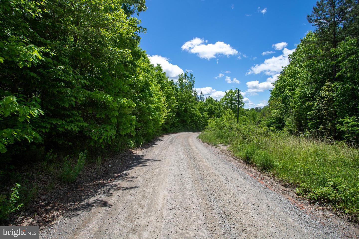 DOSWELL TOWN ROAD #5, MEHERRIN, Virginia 23954, ,Land,For sale,DOSWELL TOWN ROAD #5,VALB2000066 MLS # VALB2000066 DOSWELL TOWN ROAD #5, MEHERRIN, Virginia 23954, ,Land,For sale,DOSWELL TOWN ROAD #5,VALB2000066 MLS # VALB2000066