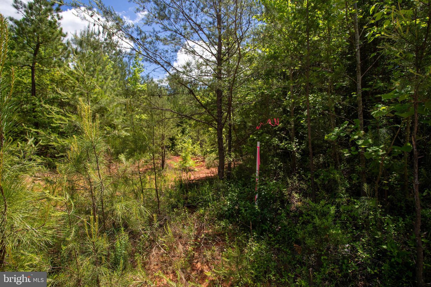 DOSWELL TOWN ROAD #5, MEHERRIN, Virginia 23954, ,Land,For sale,DOSWELL TOWN ROAD #5,VALB2000066 MLS # VALB2000066 DOSWELL TOWN ROAD #5, MEHERRIN, Virginia 23954, ,Land,For sale,DOSWELL TOWN ROAD #5,VALB2000066 MLS # VALB2000066