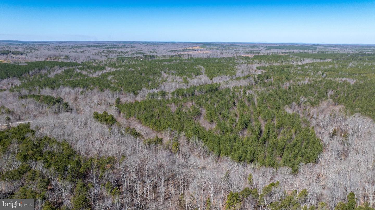 DOSWELL TOWN ROAD #5, MEHERRIN, Virginia 23954, ,Land,For sale,DOSWELL TOWN ROAD #5,VALB2000066 MLS # VALB2000066 DOSWELL TOWN ROAD #5, MEHERRIN, Virginia 23954, ,Land,For sale,DOSWELL TOWN ROAD #5,VALB2000066 MLS # VALB2000066